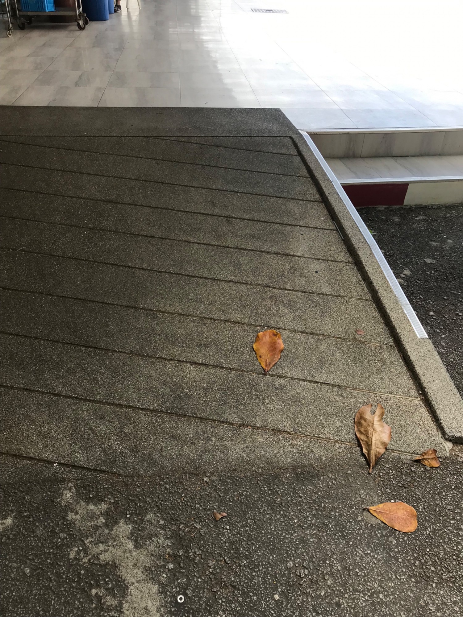 Another built in ramp next to steps - main entrance