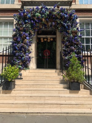 View of staircase before main entrance. Staircase narrows to entrance at top. Plants line each side of the stairs. Small handrail on upper right side.