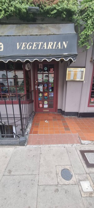 View from pavement a small slope then a small bump under the door push door with handle on the left side.