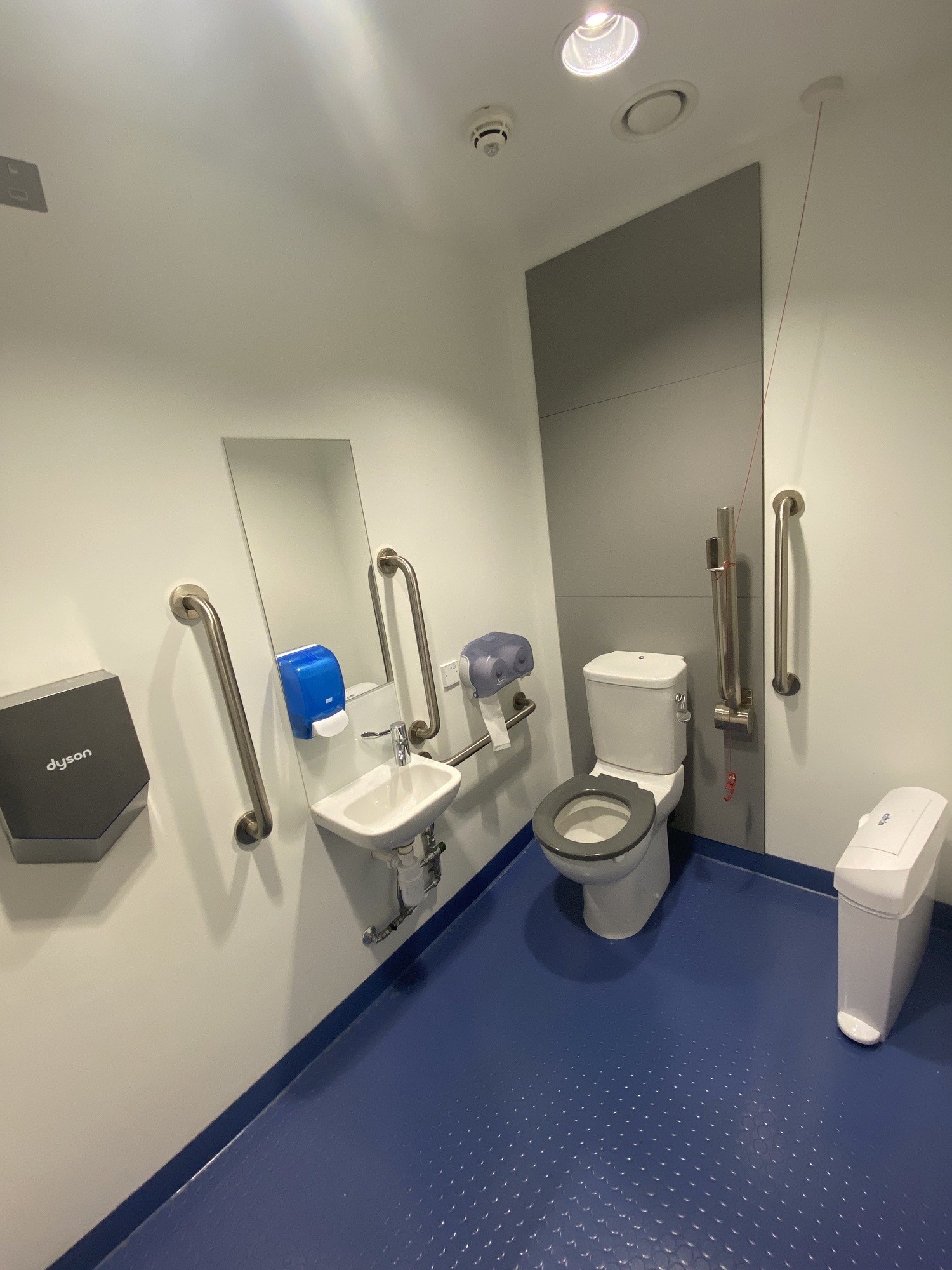 Wheelchair accessible bathroom with assistive bars