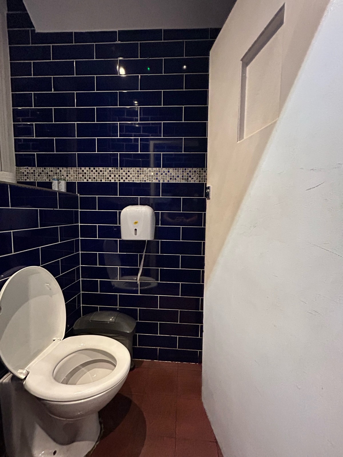 From preceding doorway facing right. Single white wooden door, push from left to open. a toilet on left wall.
