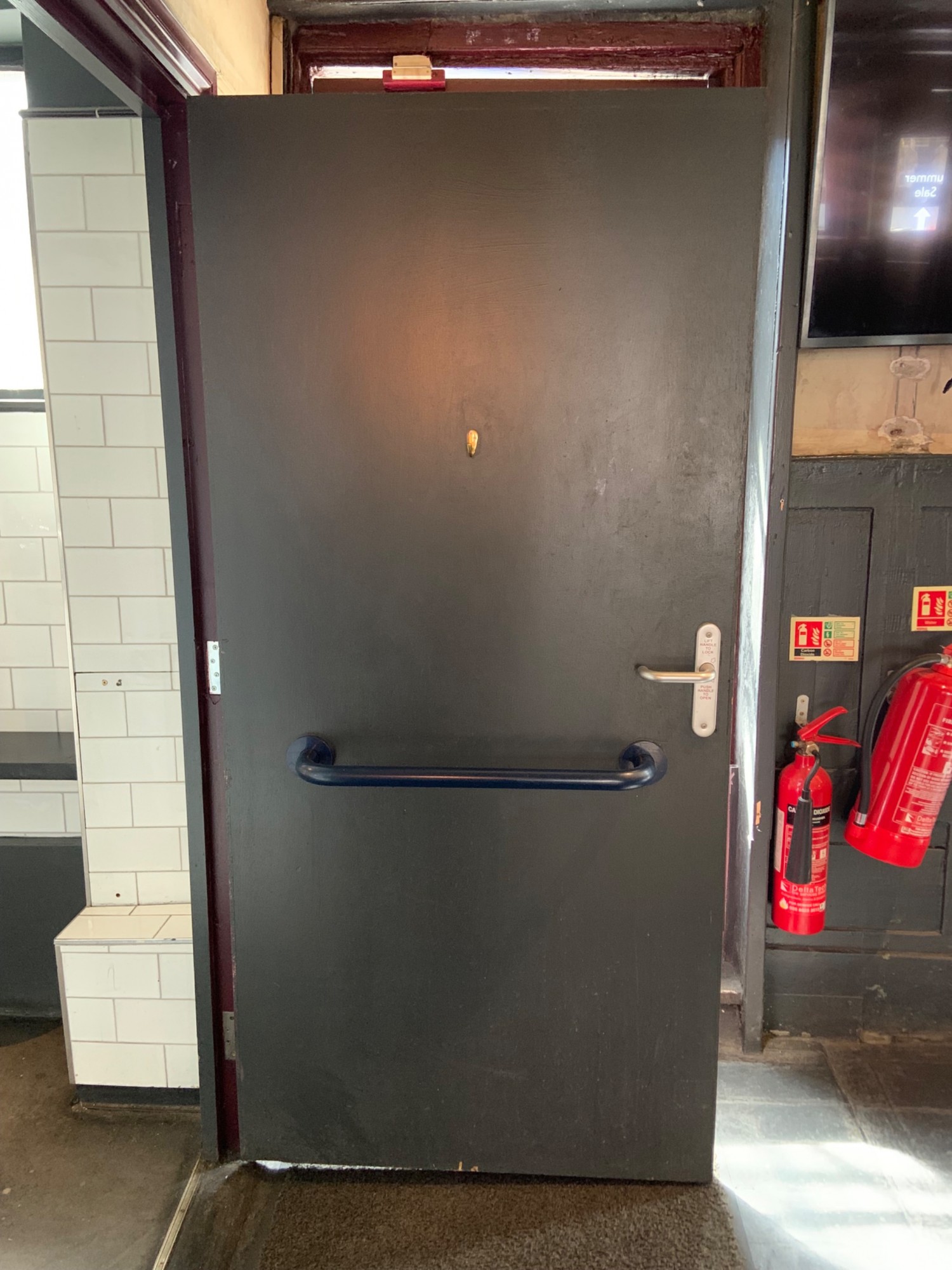 View of back of bathroom door. High hook centre. Grab rail along lower half of door.