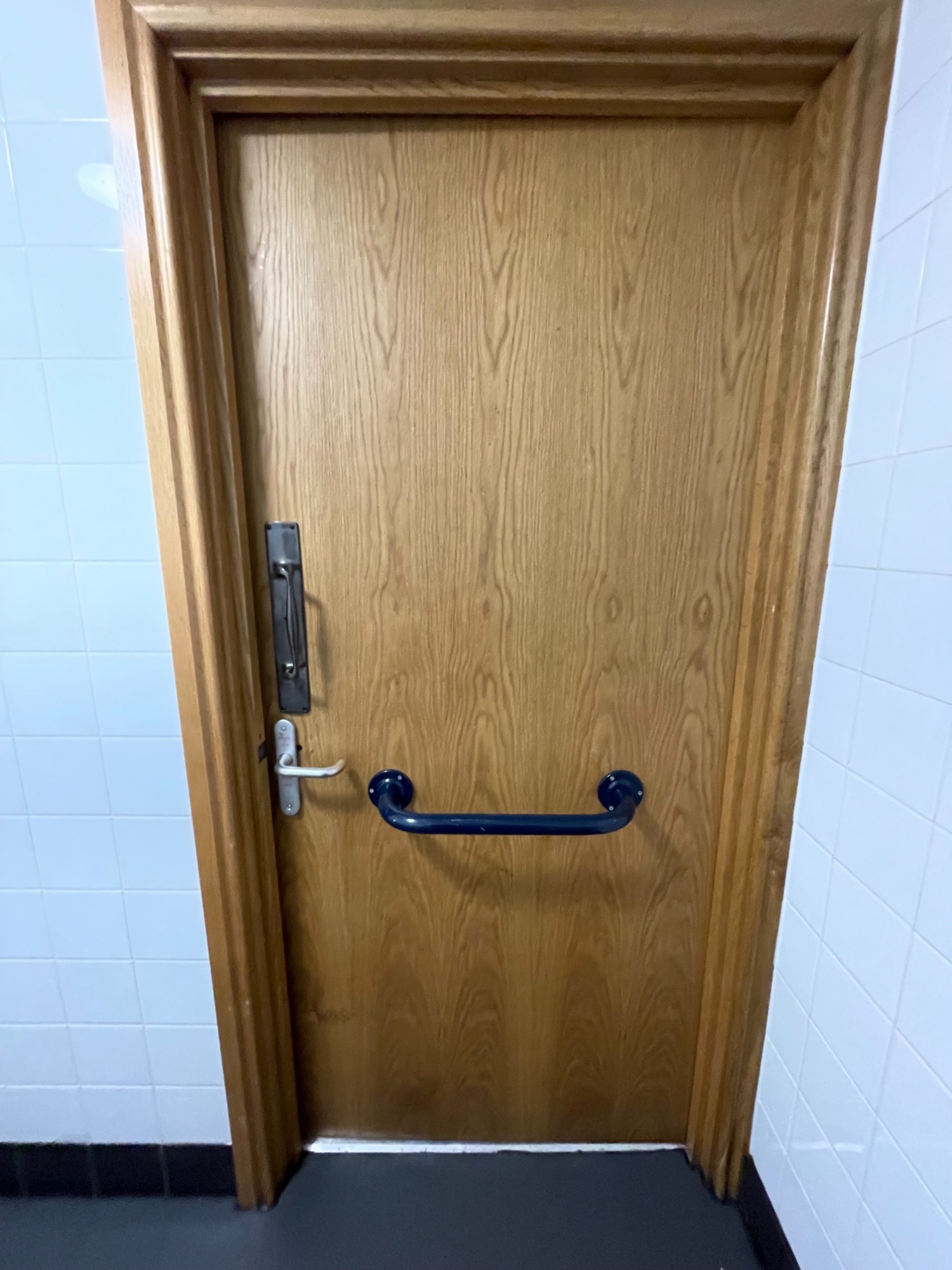 Back of door. Blue grabrail in center. Push silver metal handle on left to open.