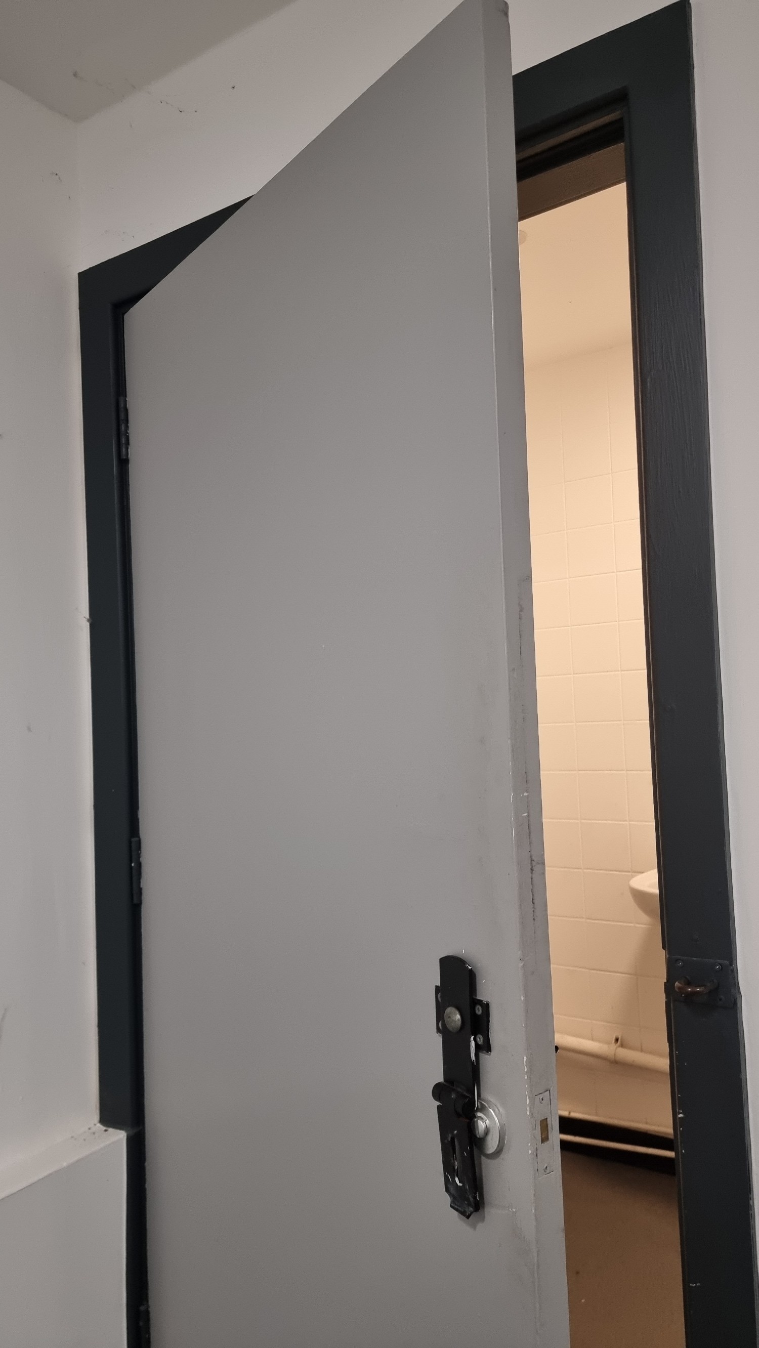 Grey door with dark blue frame