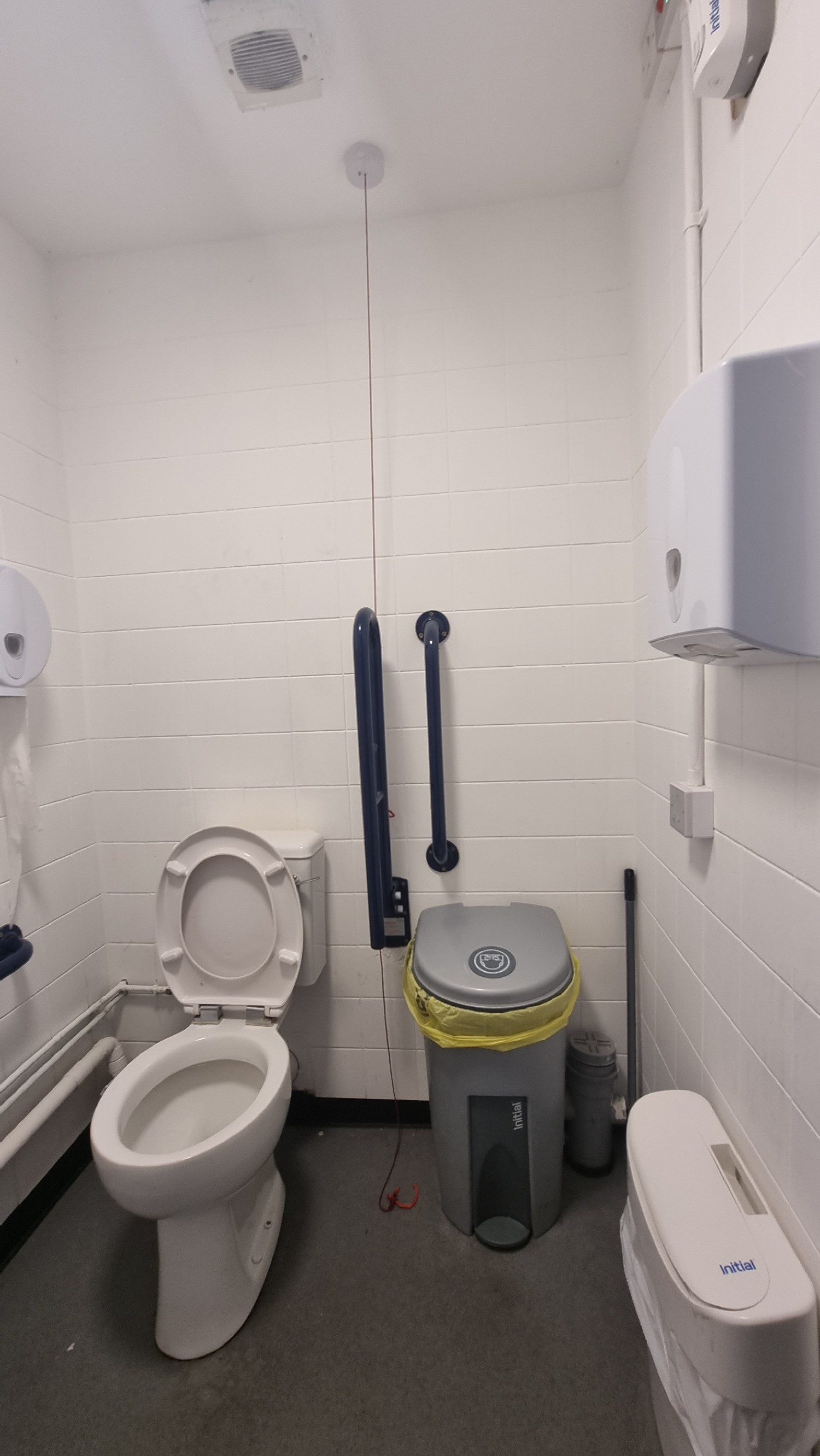 Toile on left side with grab rails tk the right and bins next to the bathroom.