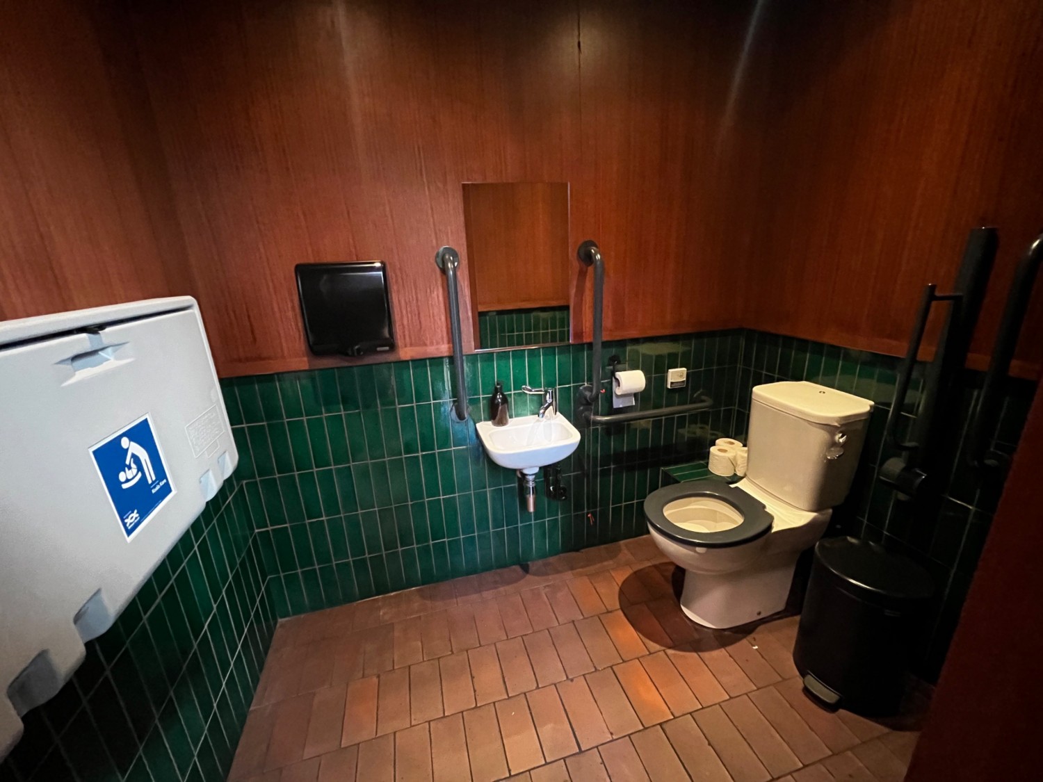 Bathroom from doorway. Toilet on back right wall, sink on back wall. Bin obstructing transfer space. Pull cord on right when seated.