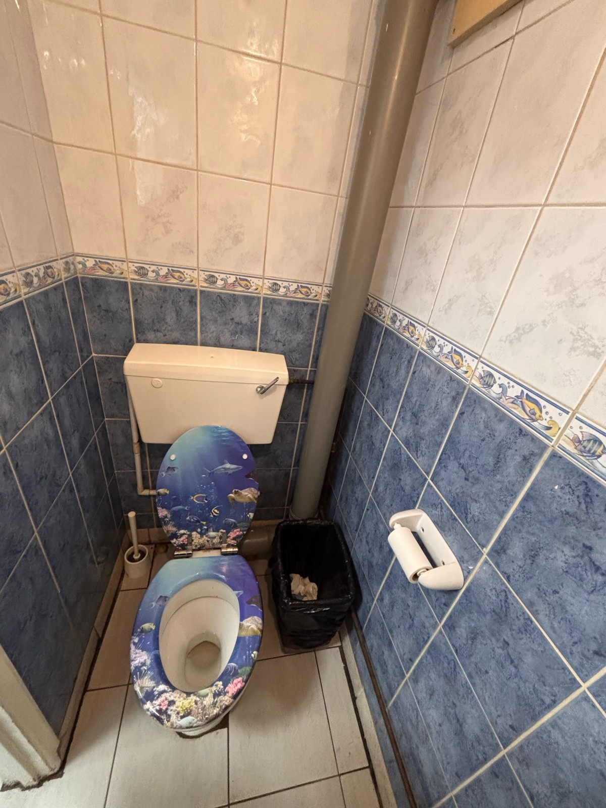 From door facing left. Toilet ahead.