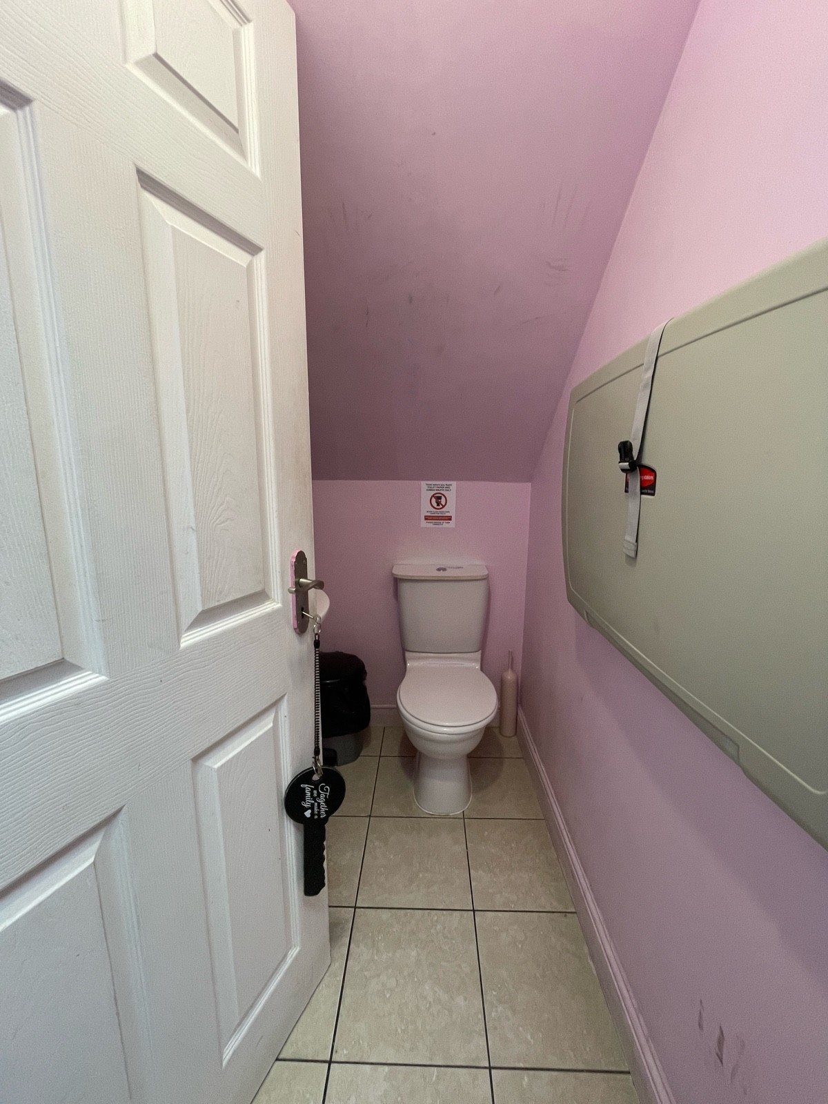 From door facing straight. Baby change on right wall. Toilet at back. Sink on left obstructing door.