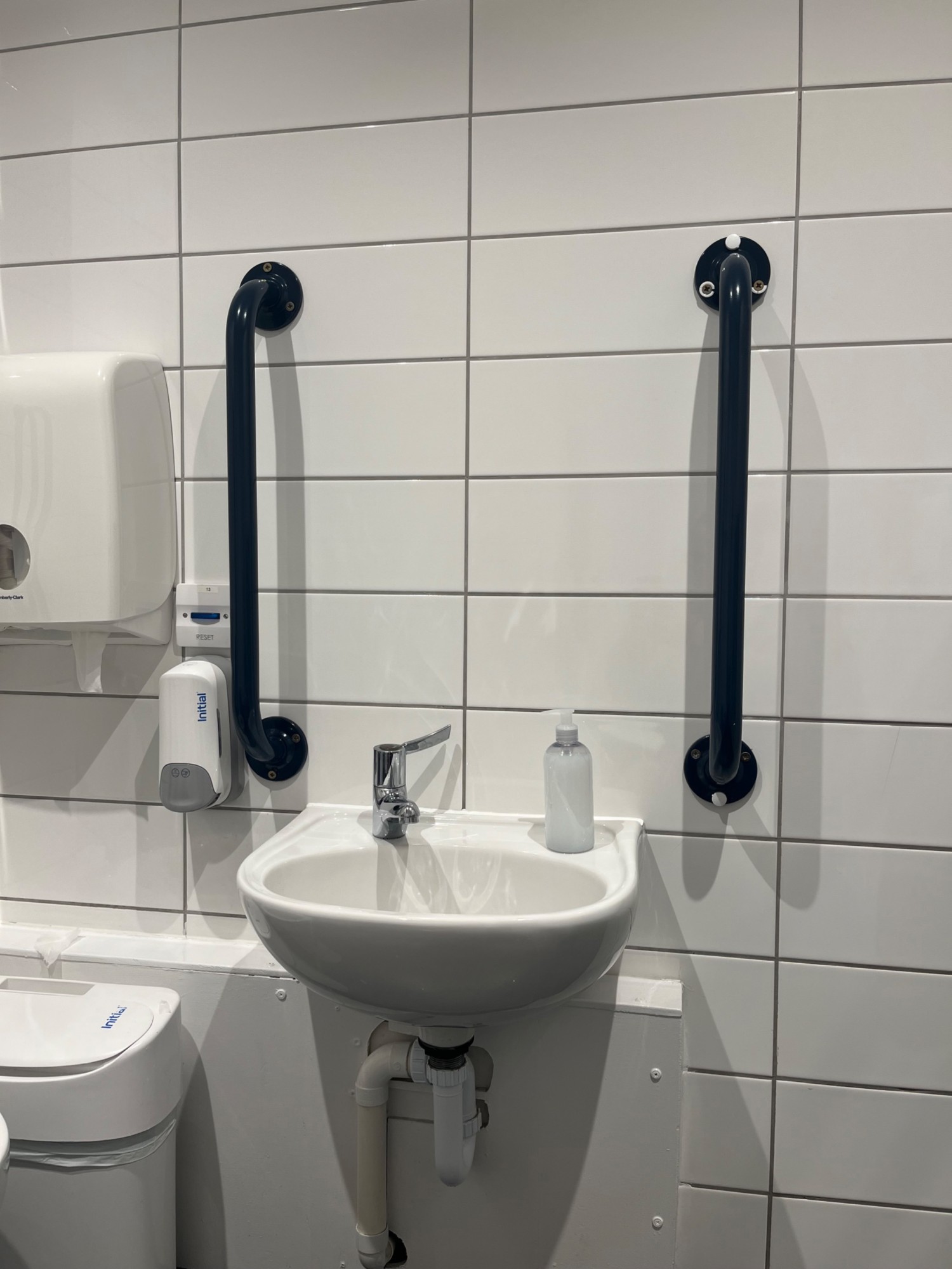 Sink with contrasting grab rails