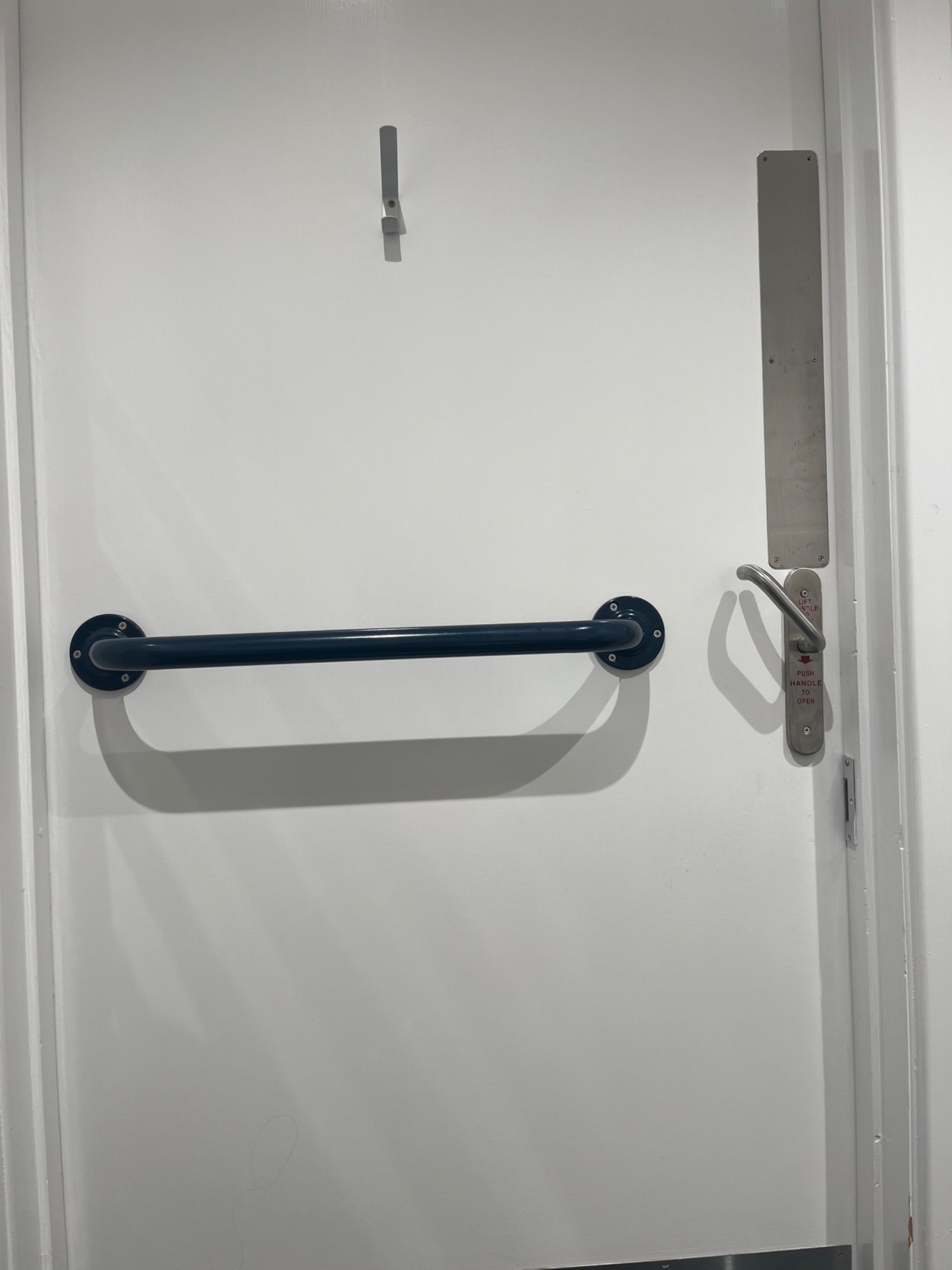 Contrasting grab rail on the door with a lever lock