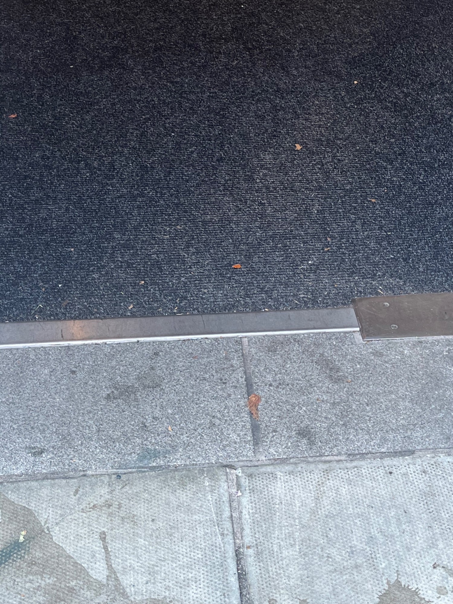 Small bump at foot of door. Doormat following.