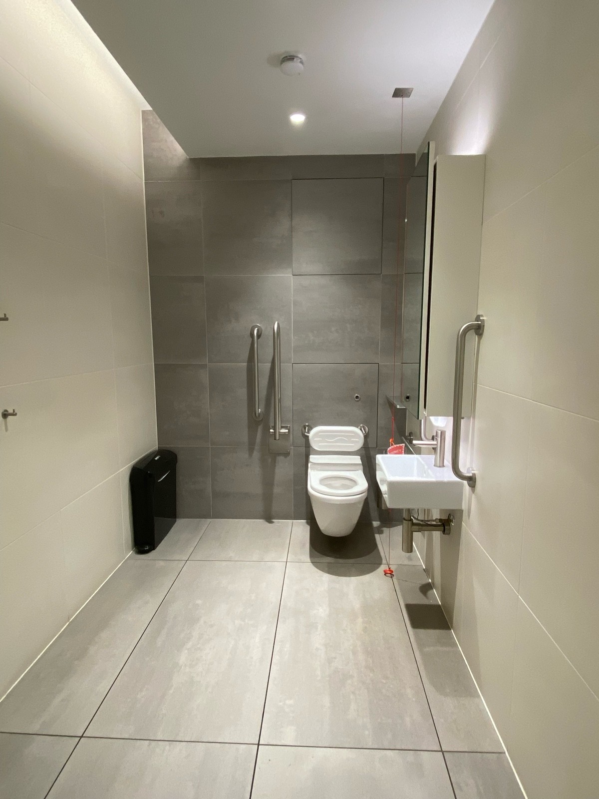 From doorway facing straight. Toilet ahead. Emergency pull cord to left of toilet. Sink on left.