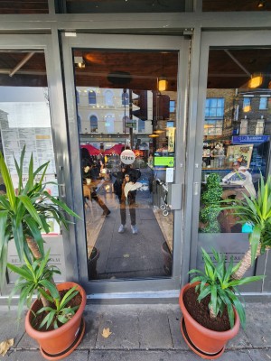 Glass door with grey frames. Push grey handle on right. Planters on either side of door.