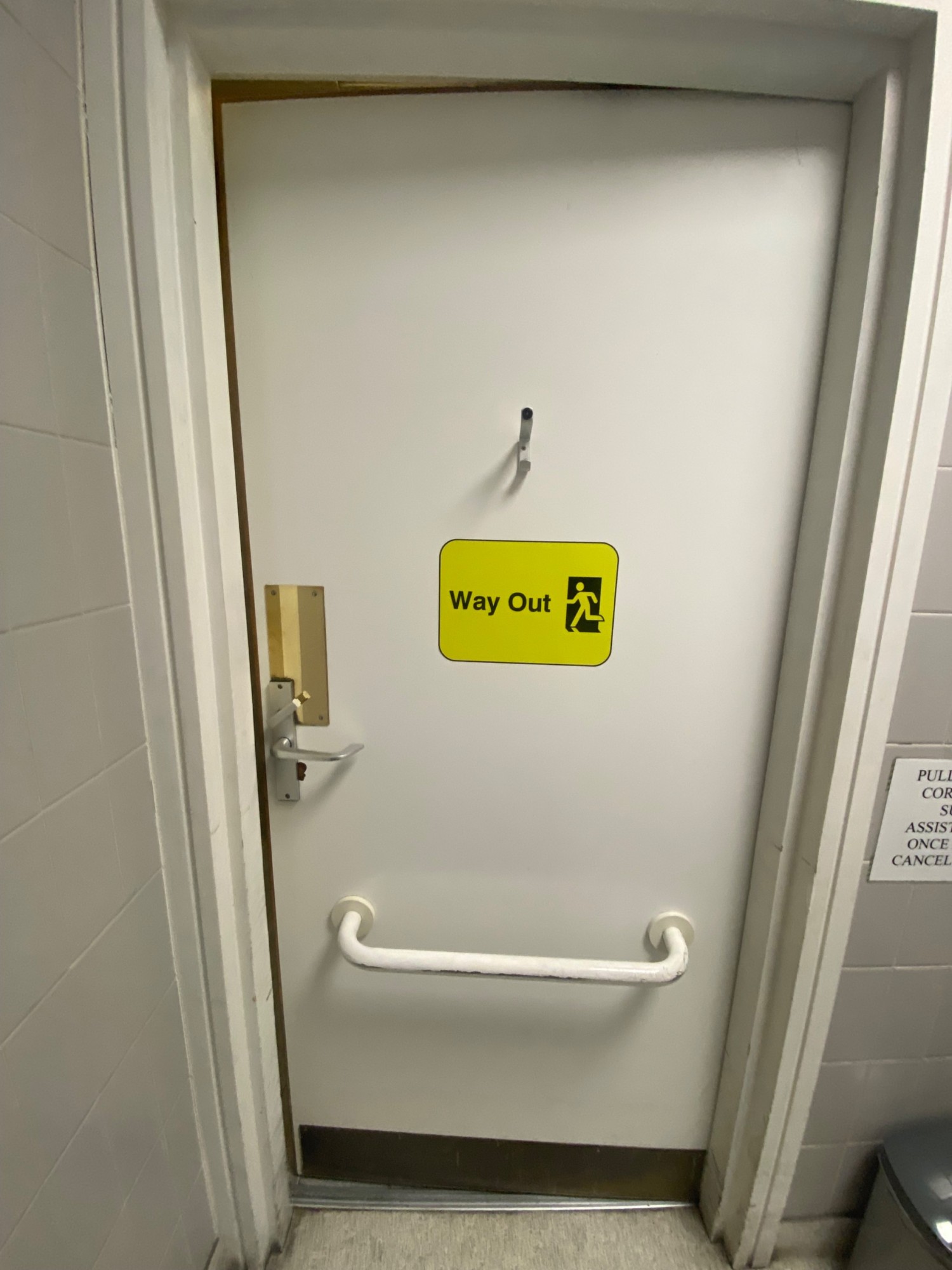 Back of bathroom door. White grabrail in middle. Silver lock and handle on left. High hooks at top.