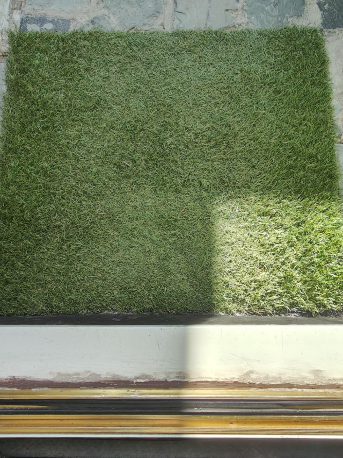 One step down on threshold of door followed by grass doormat.