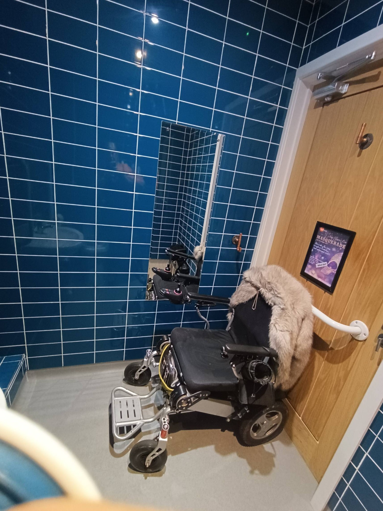 Photo shows door with rail to aid with closing, low level mirror, blue tiling.
