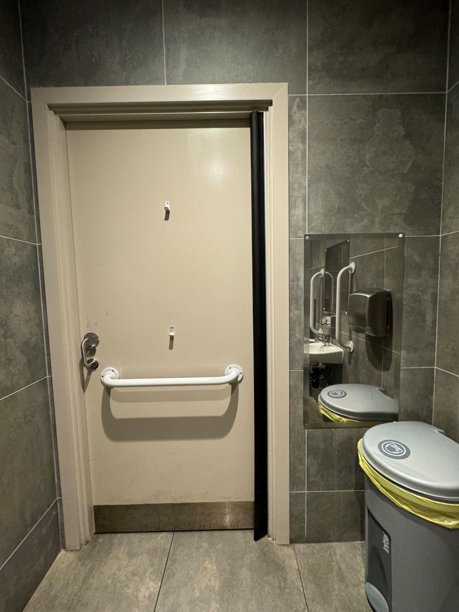 Inside of door, with full length mirror to the right. High and low hooks on door. Door opens outwards, left to right. Horizontal grab rail in centre.