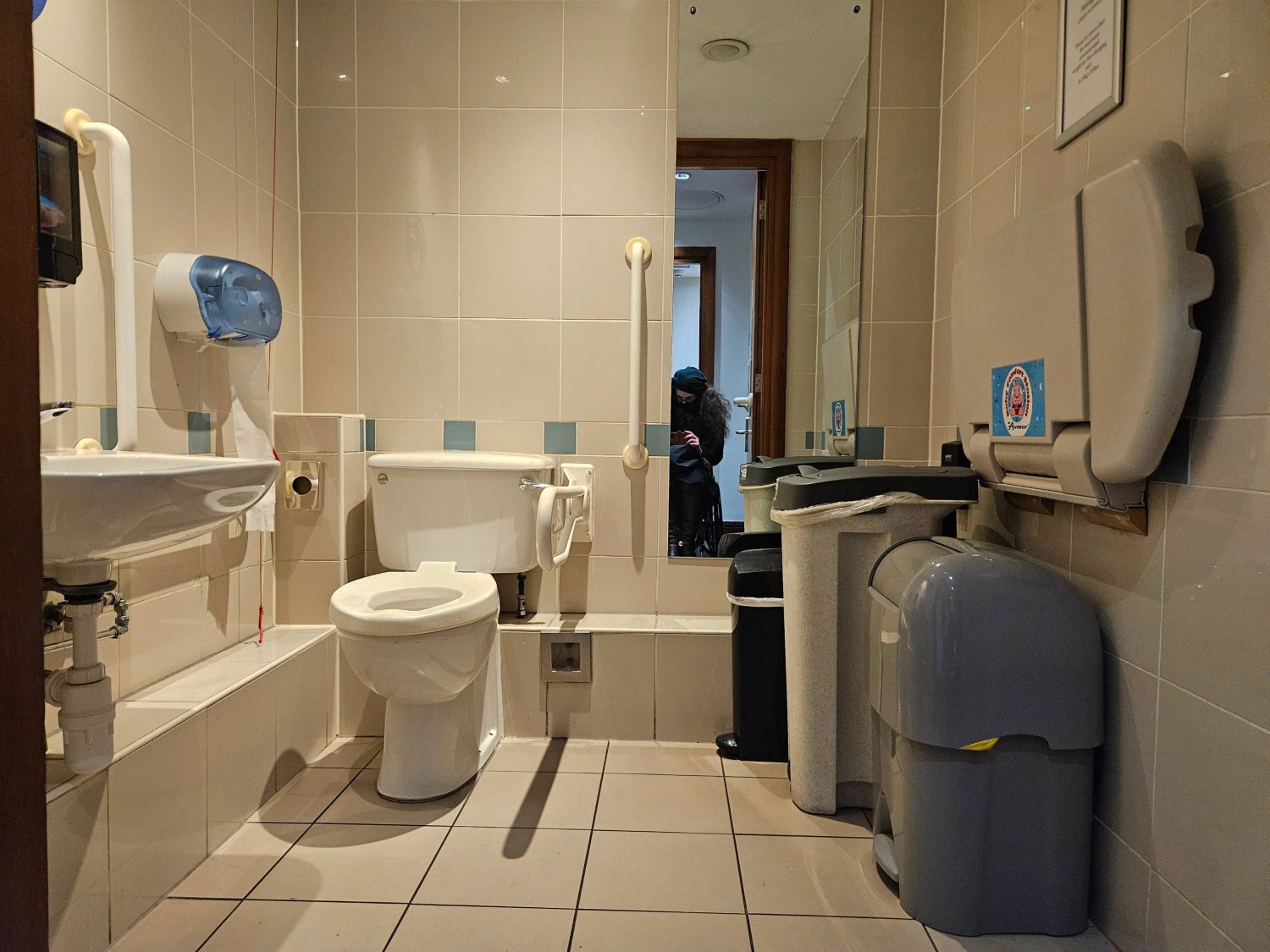 As you go in, lowered sink on the left, fold down baby changing table on the right, toilet is on back wall towards the left and bins on the right.