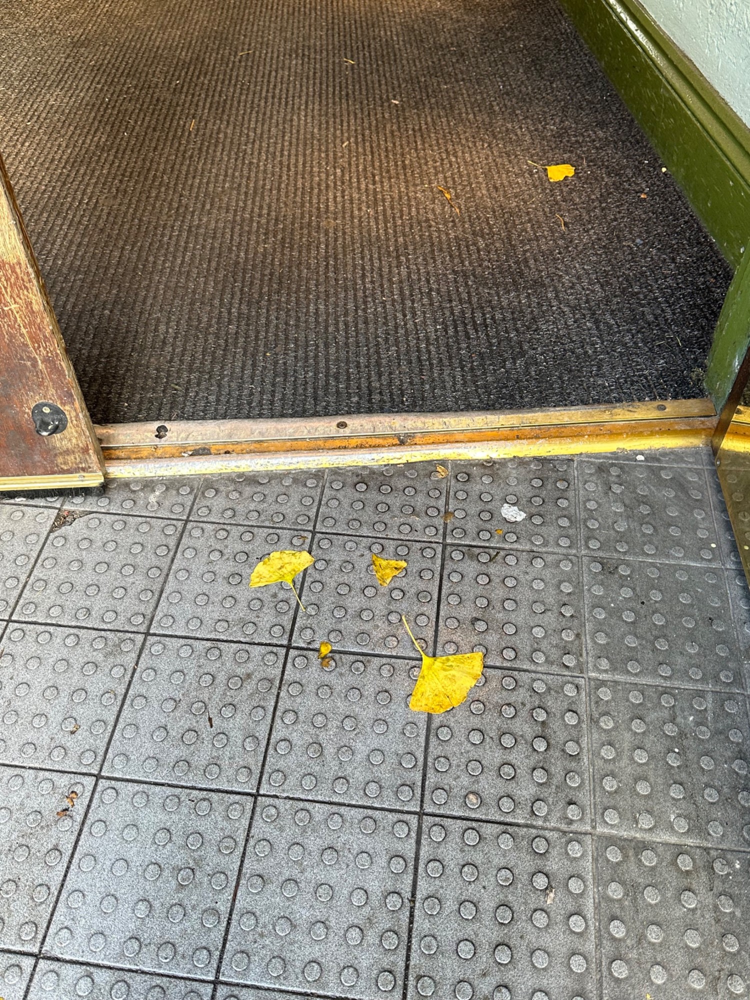 Small bump at foot of doors. Doormat after doors.