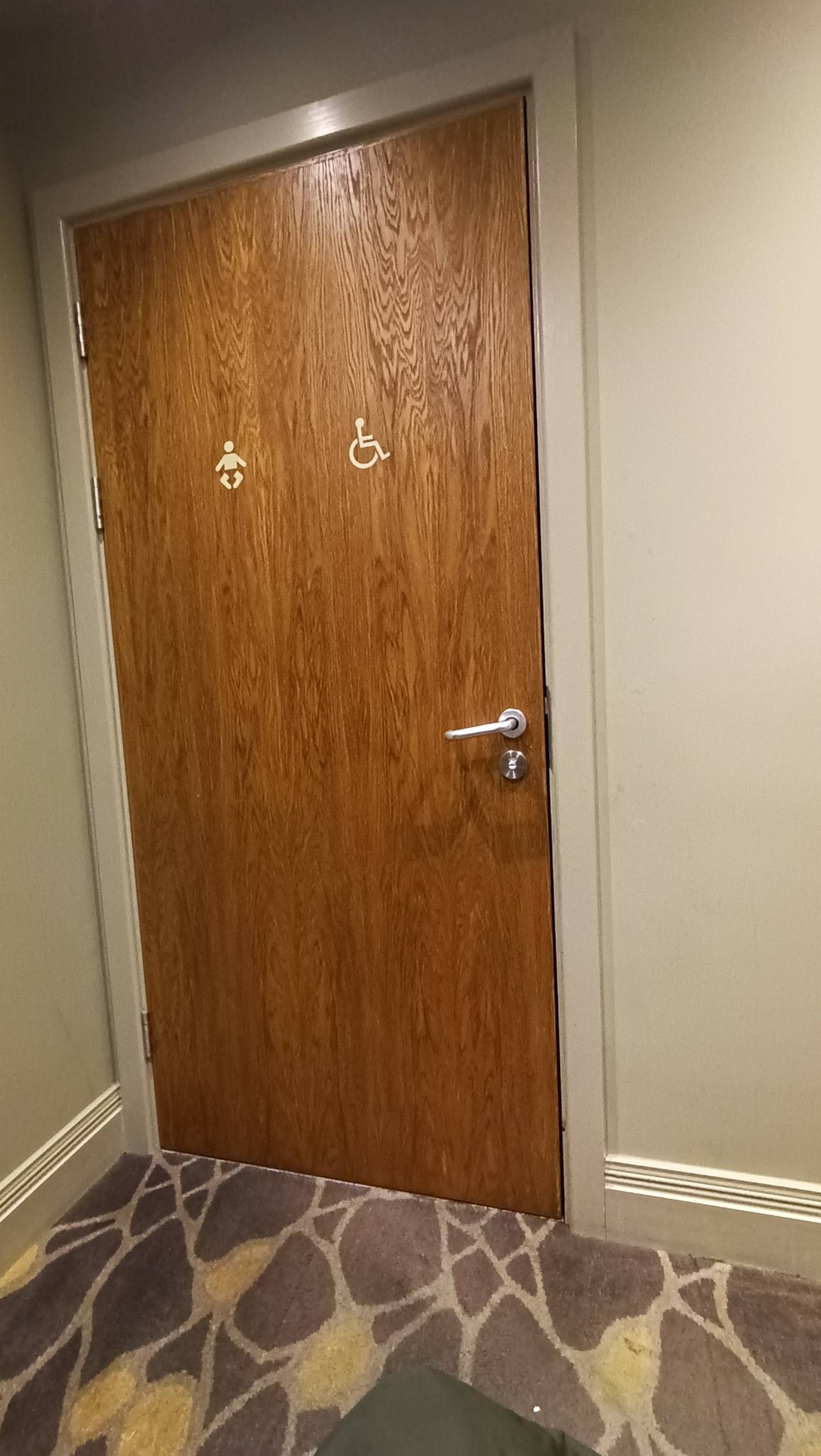 Heavy wooden toilet door, opens manually with metal hand from right to left. Accessible toilet plus baby changing