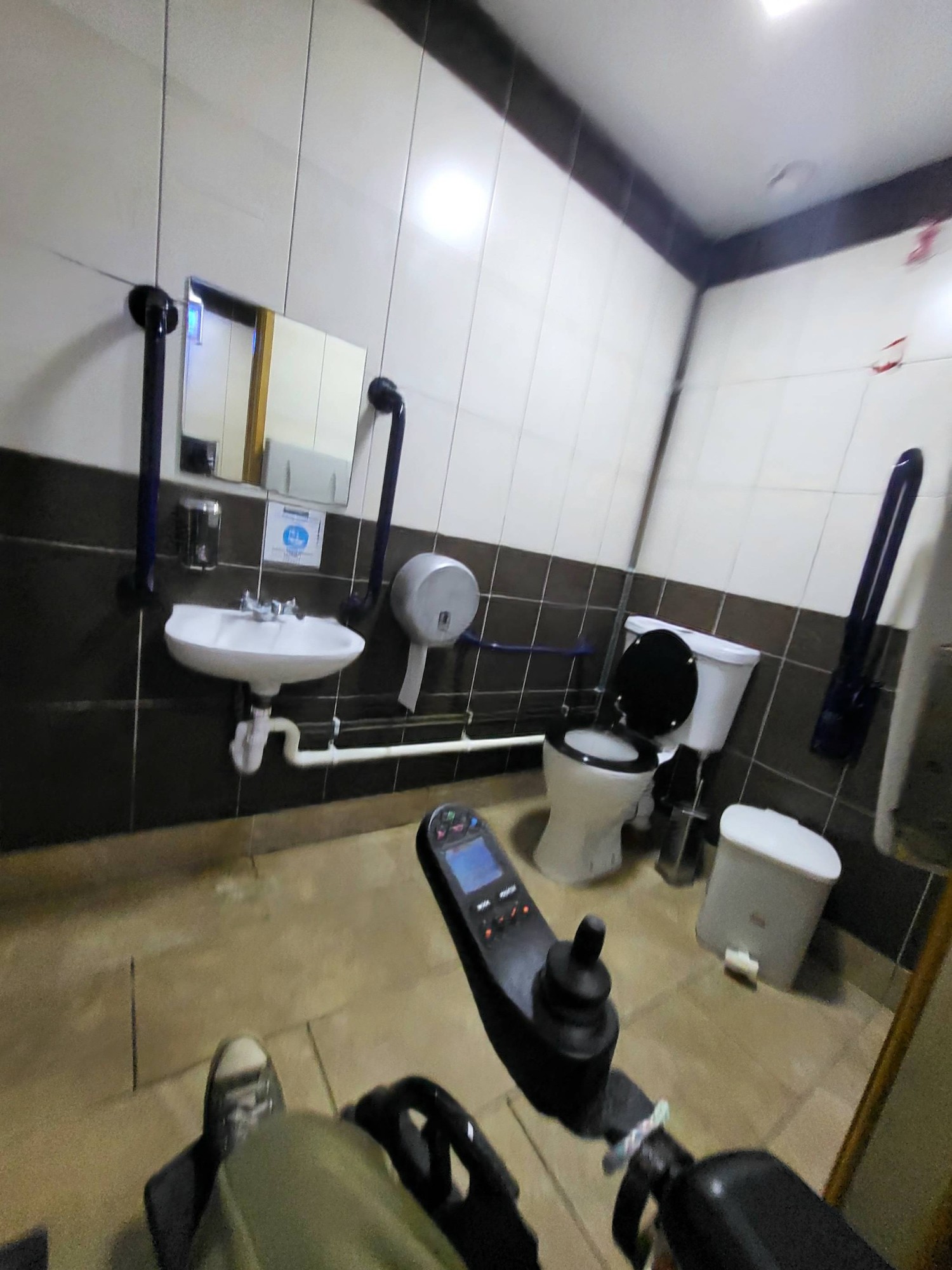 Here is a view of the disabled toilet onsite.