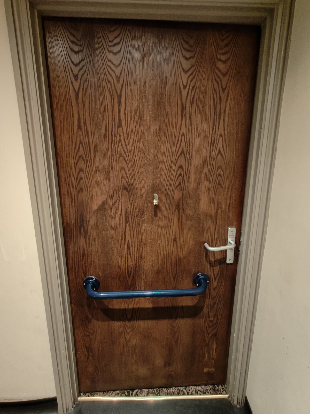 Back of door. Blue handrail in centre. Seated hook above it. Push silver handle on right to open.
