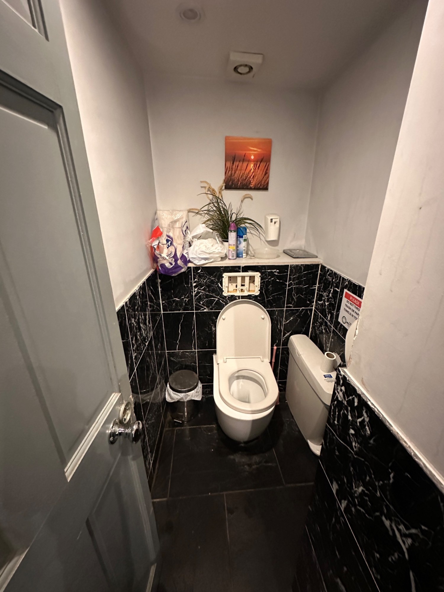 From door facing straight. Toilet straight ahead.