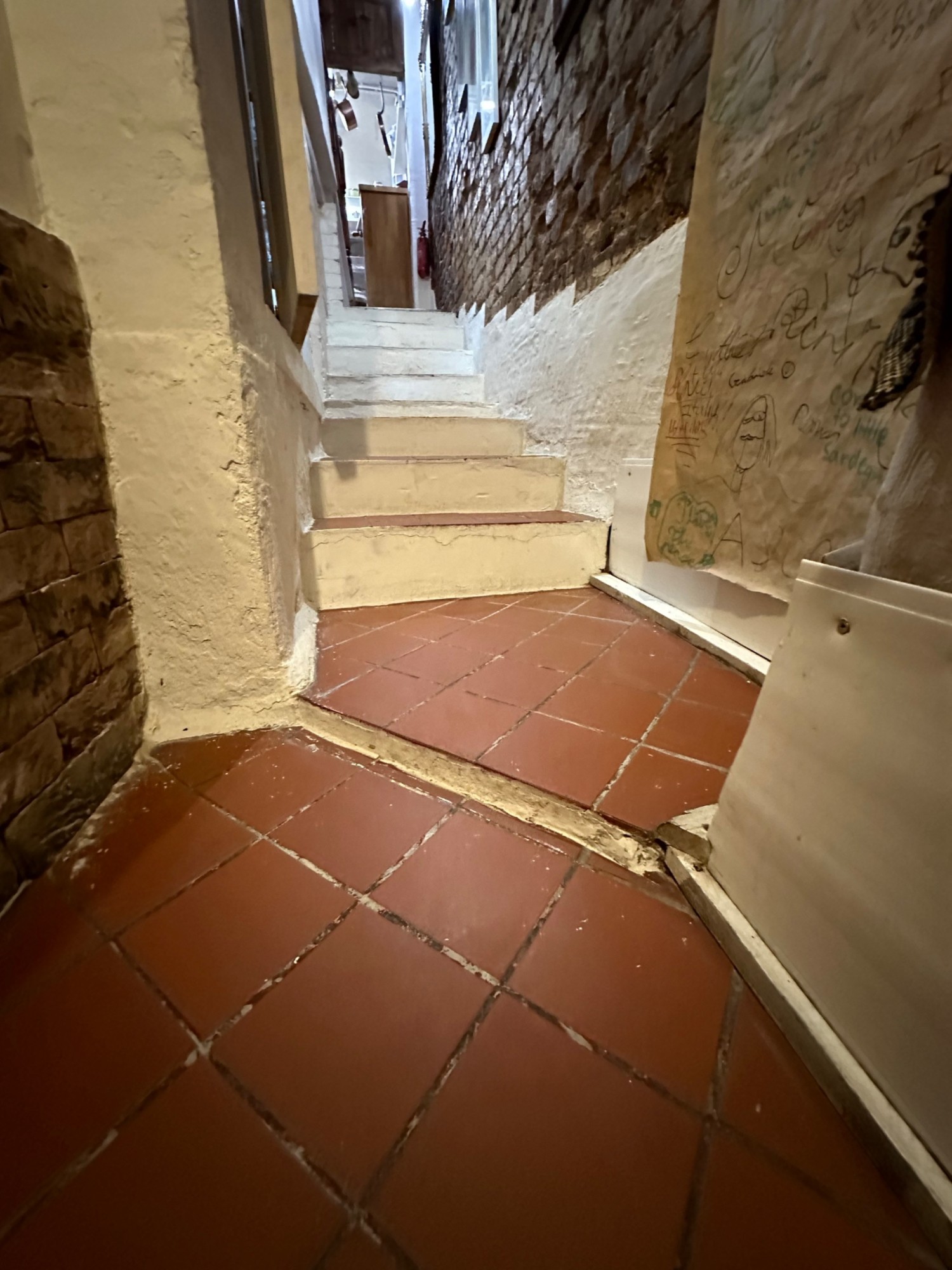 Small step at bottom of staircase leading to toilets.
