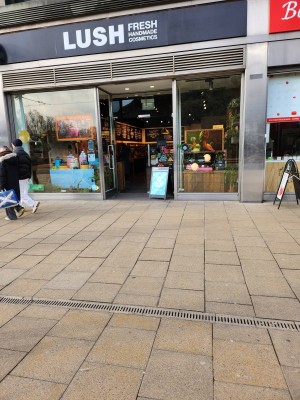 Glass pull doors
