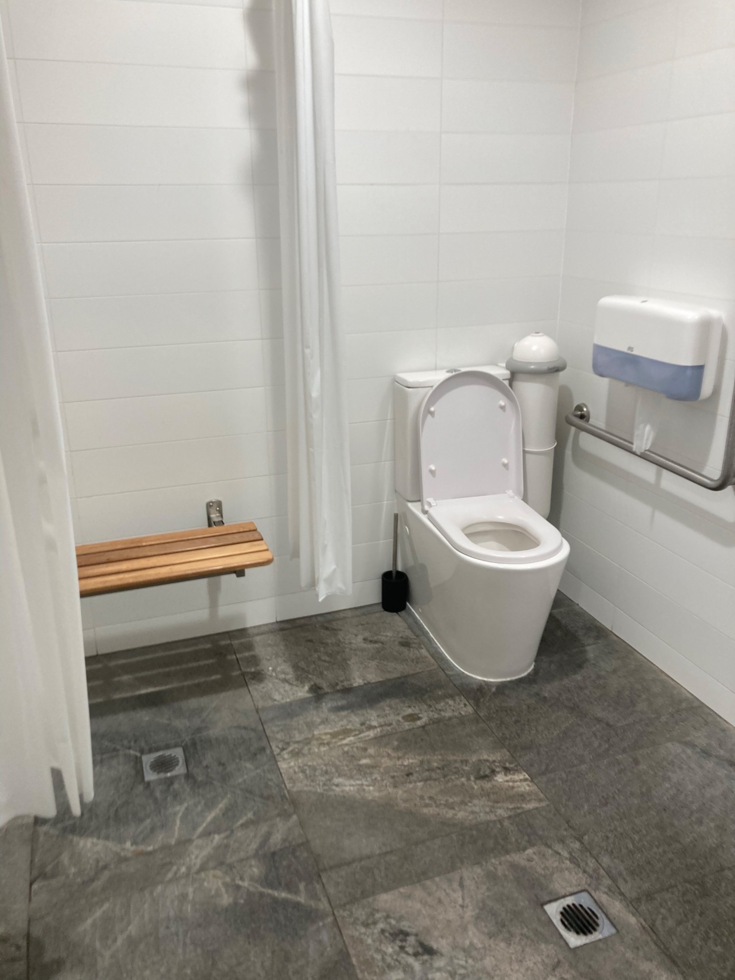 Shower and toilet with handrail