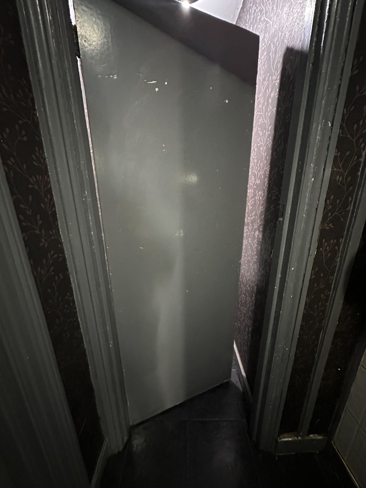 From preceding door looking straight. Cubicle door ahead. Push on right to open.