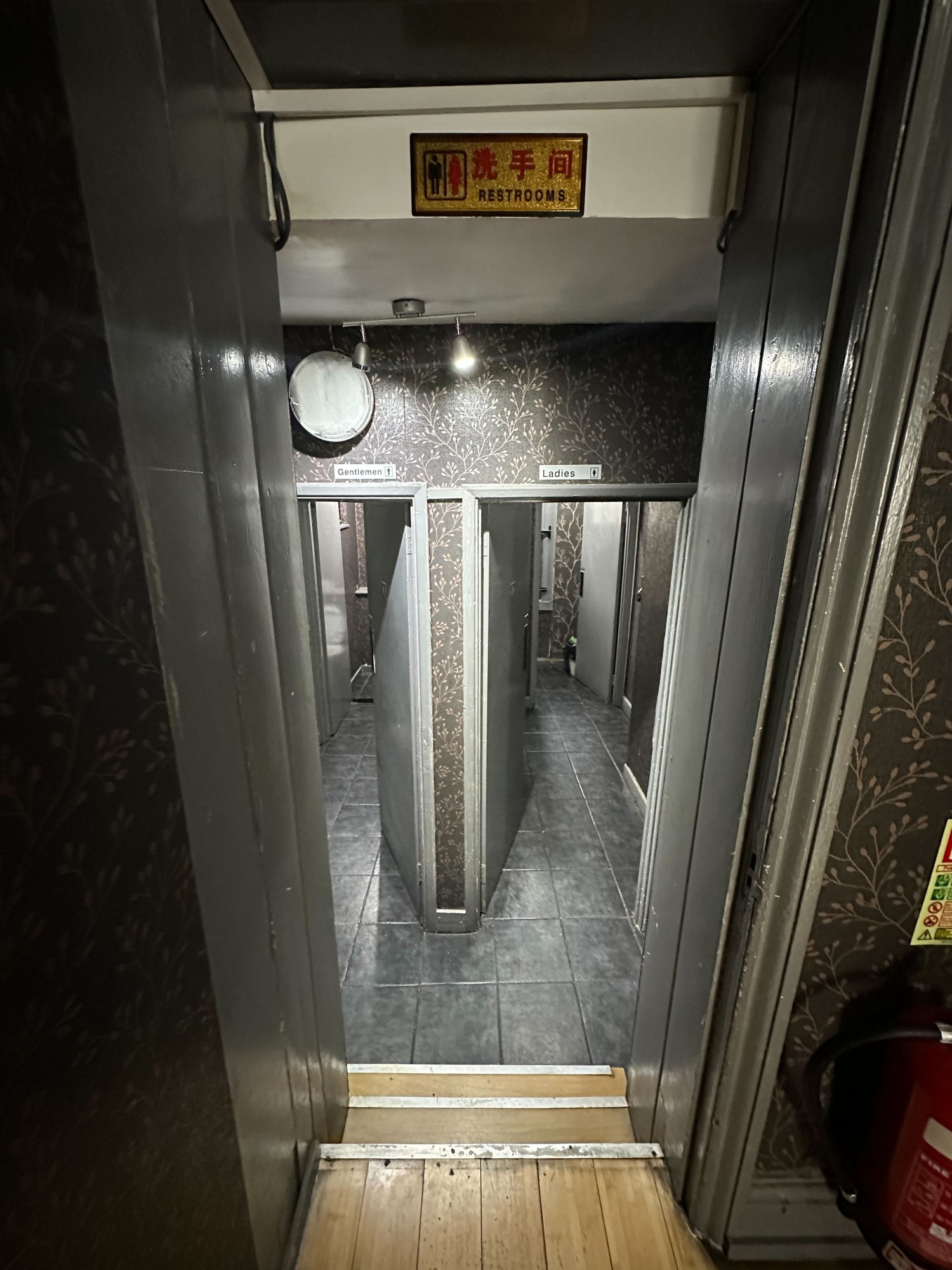From archway facing straight. Steps down to hallway before toilet doors.