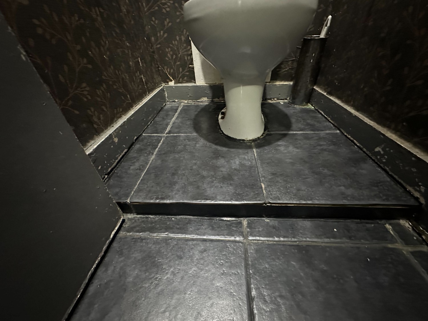 Small step up to toilet.