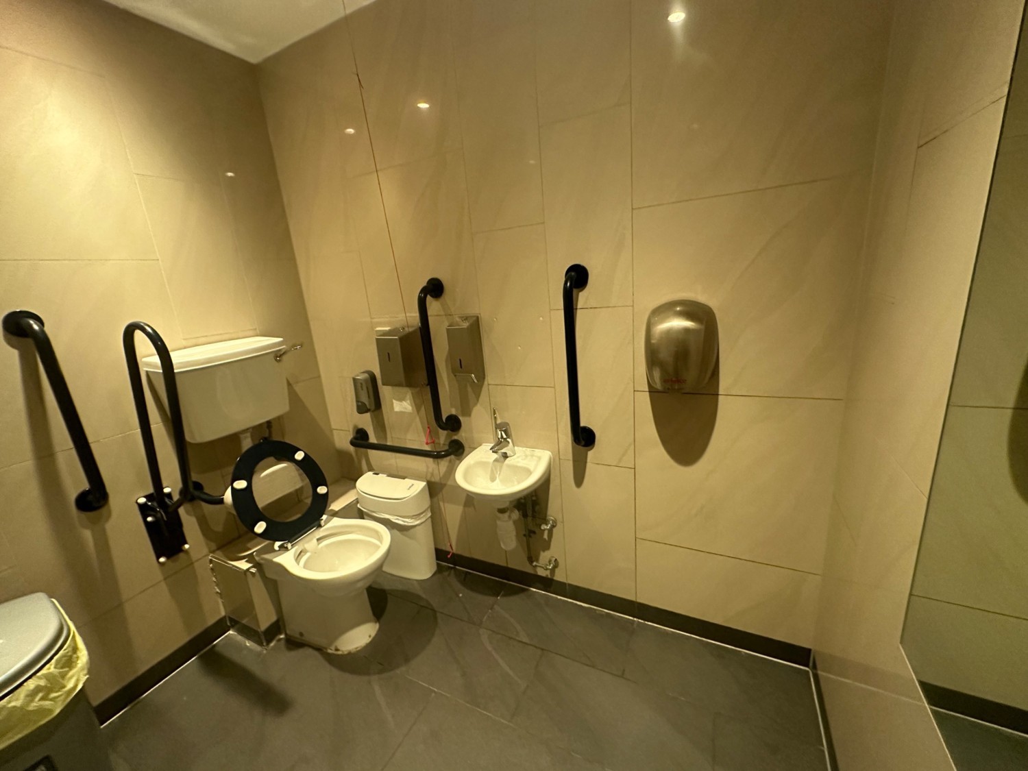From door facing straight. Toilet back left corner. Emergency cord to its right. Sink ahead.