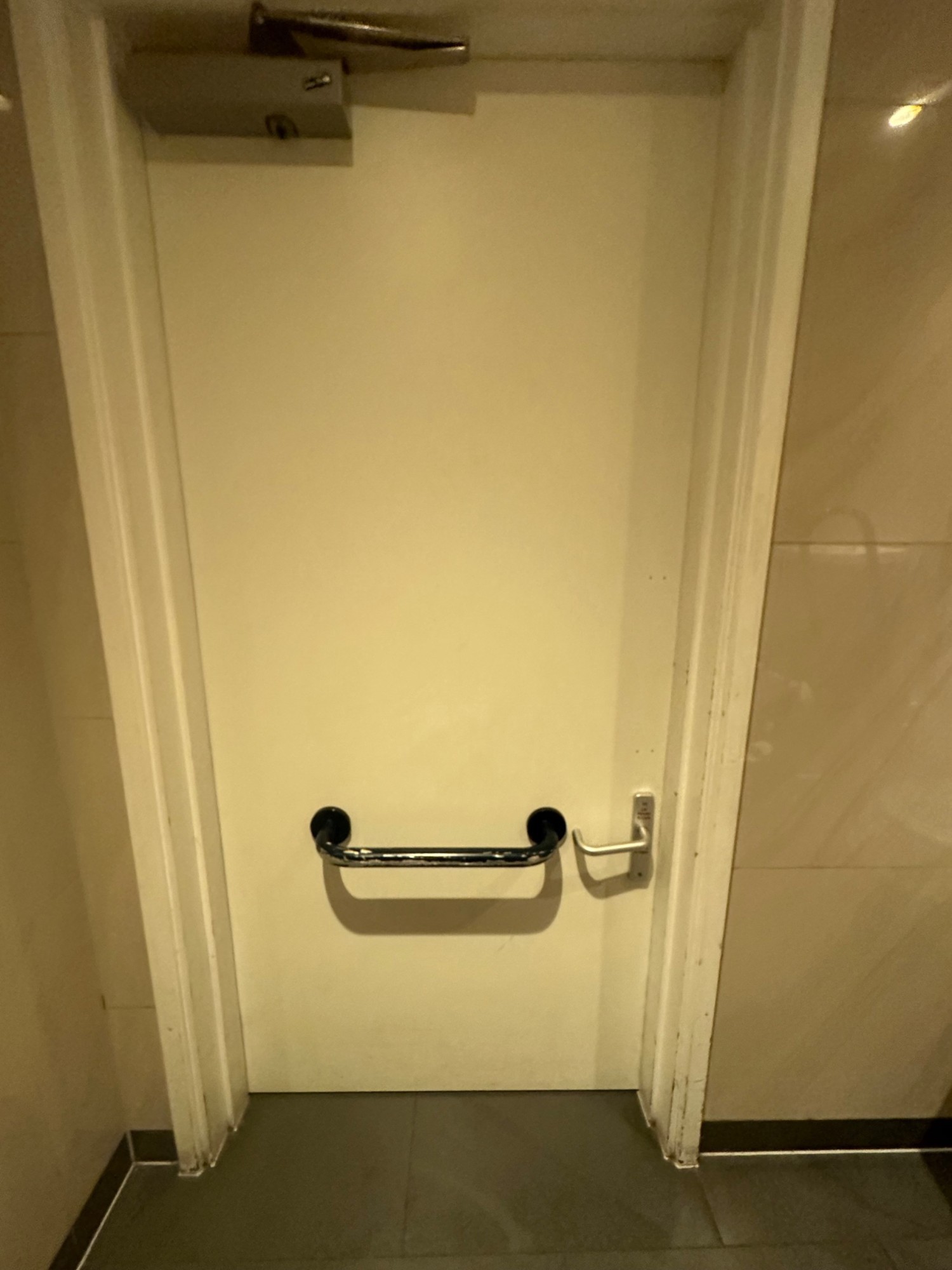 Back of door. Black grab rail in centre. Push silver handle from right to open.