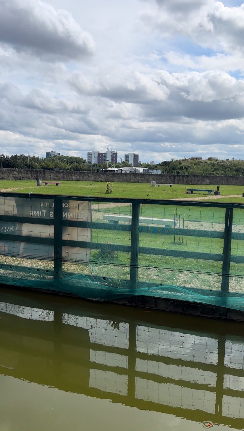 View from the decking, over the pond onto the grass area.