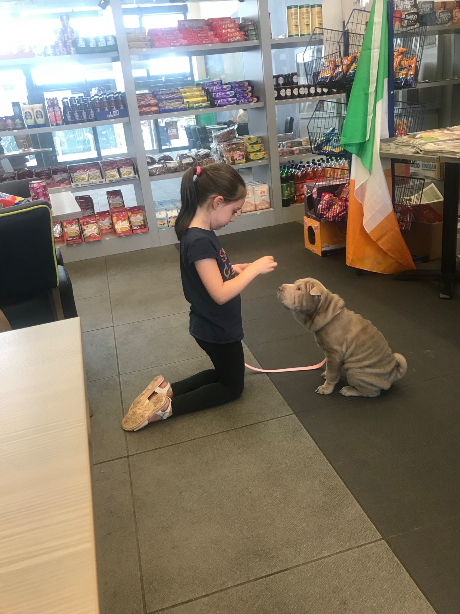 Plenty of floor space in the shop and cafe. Small well behaved dogs are permitted.