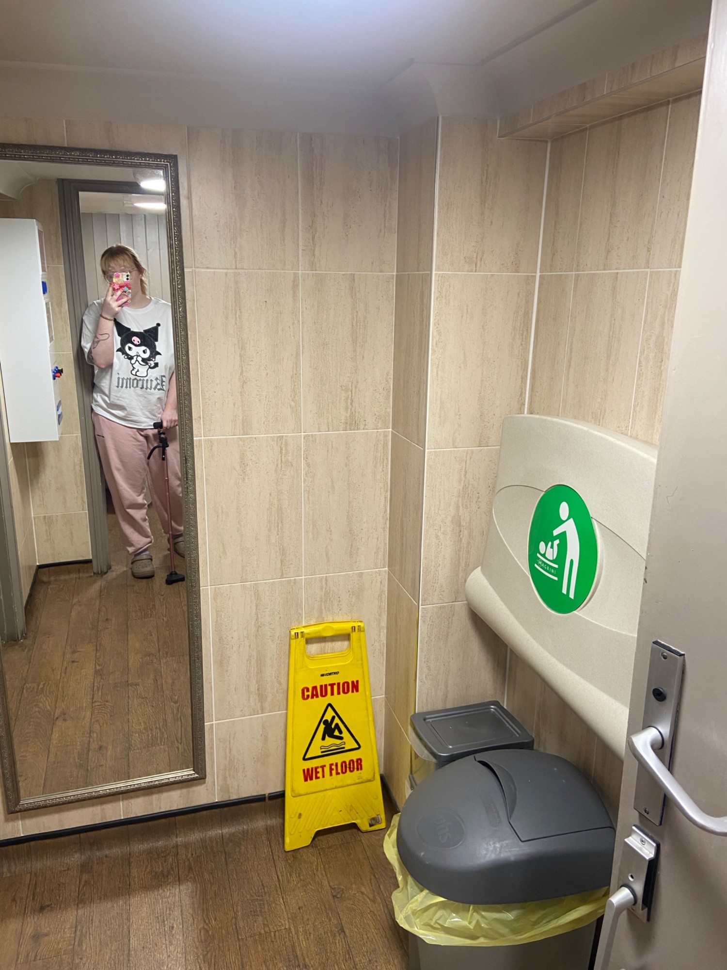 the reverse of the toilet cubicle. mirror and changing table