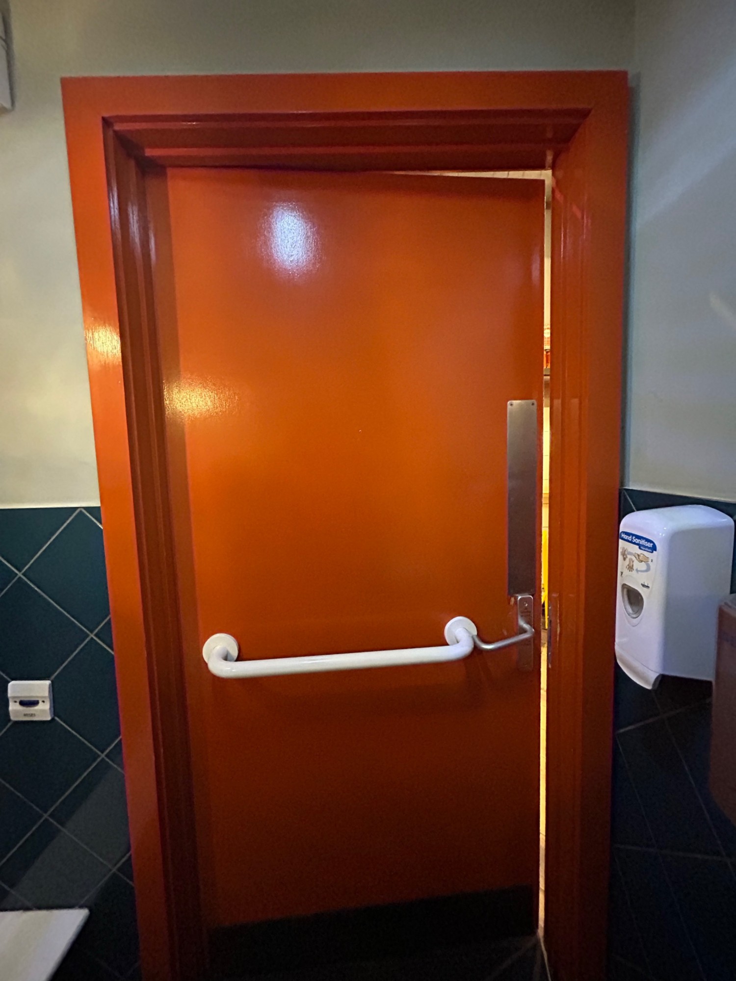 Back of toilet door. Grab rail along centre. Handle acts as turning lock on right.