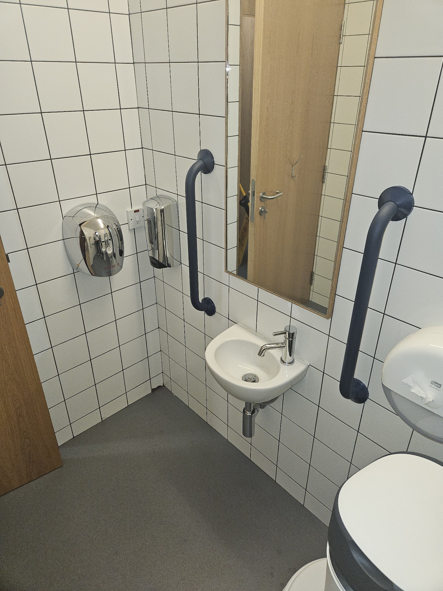 The bathroom sink, dryer and grab rails