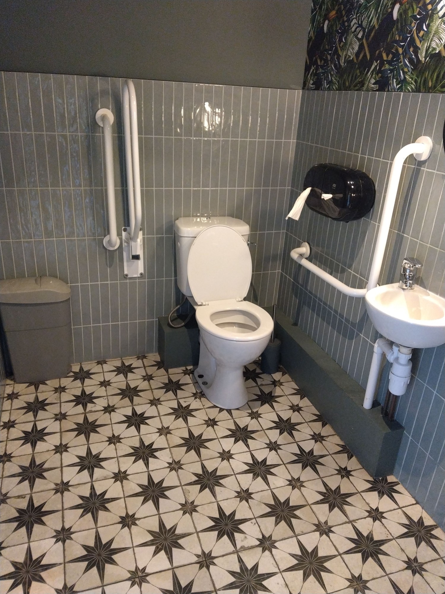 Accessible toilet