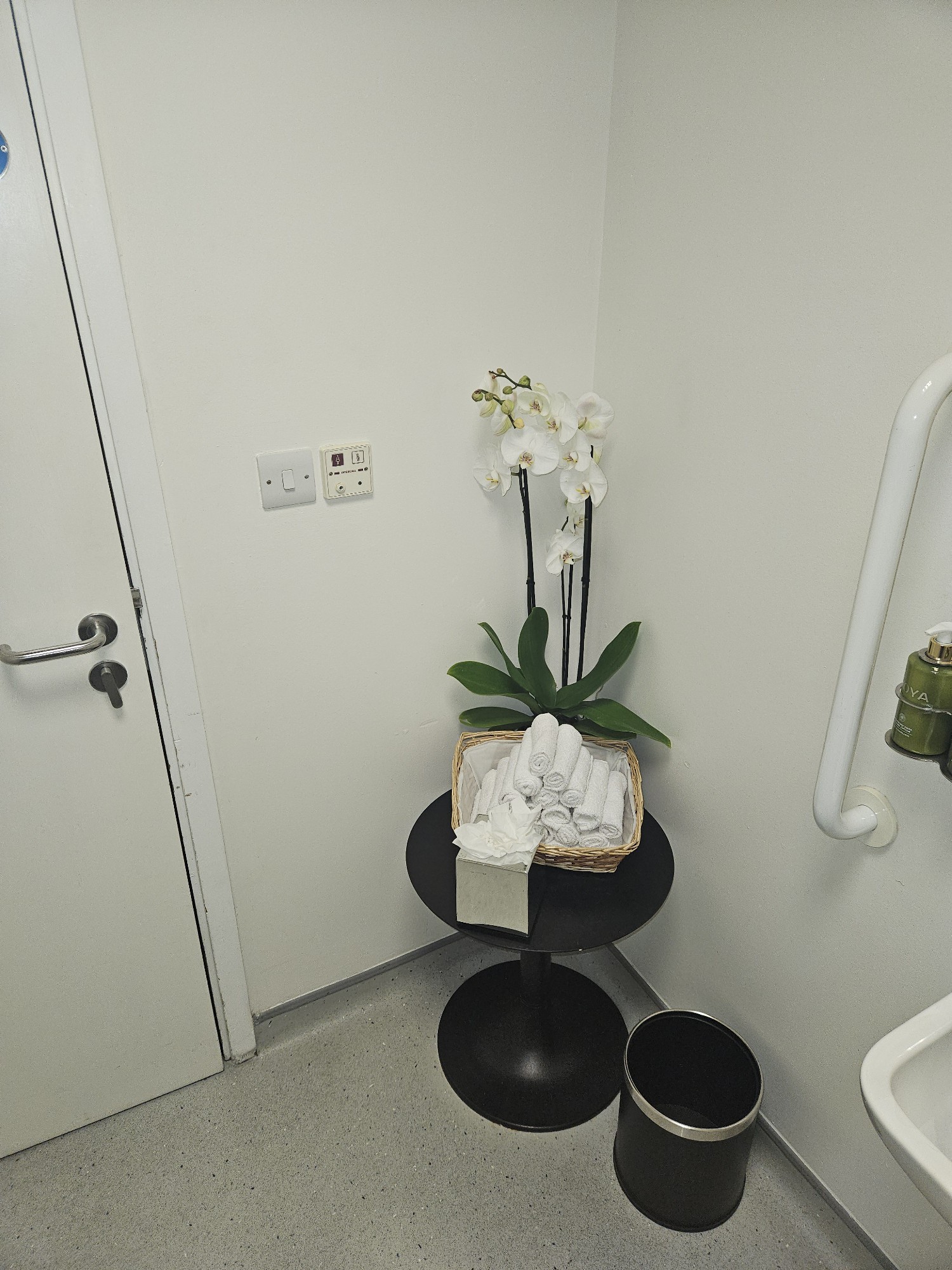 The inside of the accessible bathroom door, the emergency call button and the drying towels with some decorative flowers