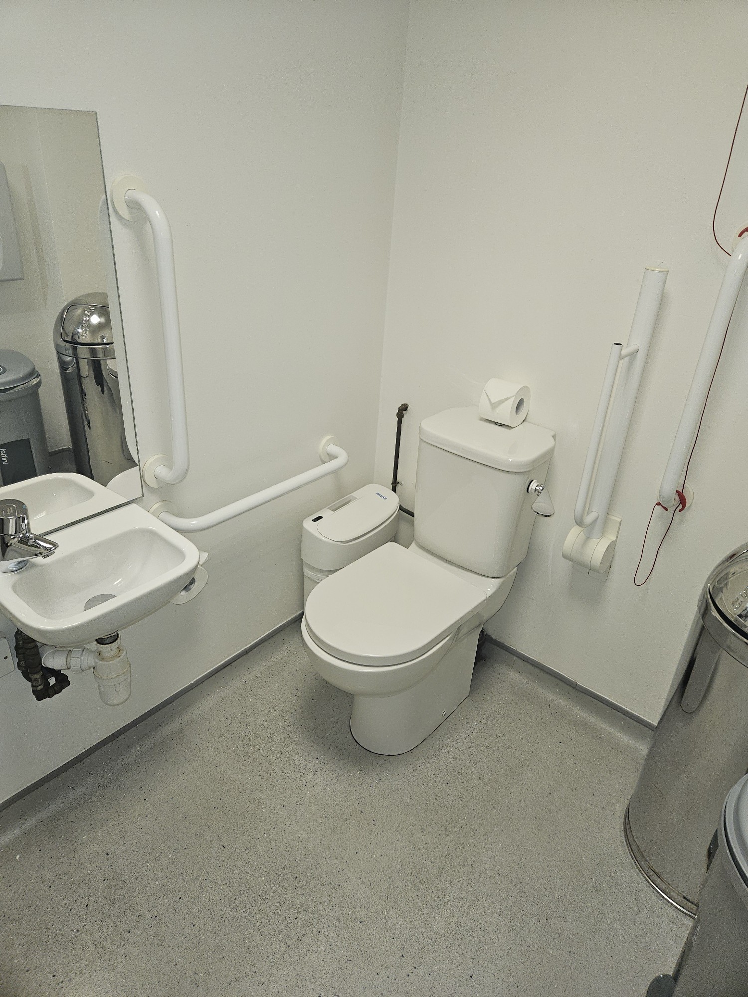 The toilet, sink, grab rails, and a bin