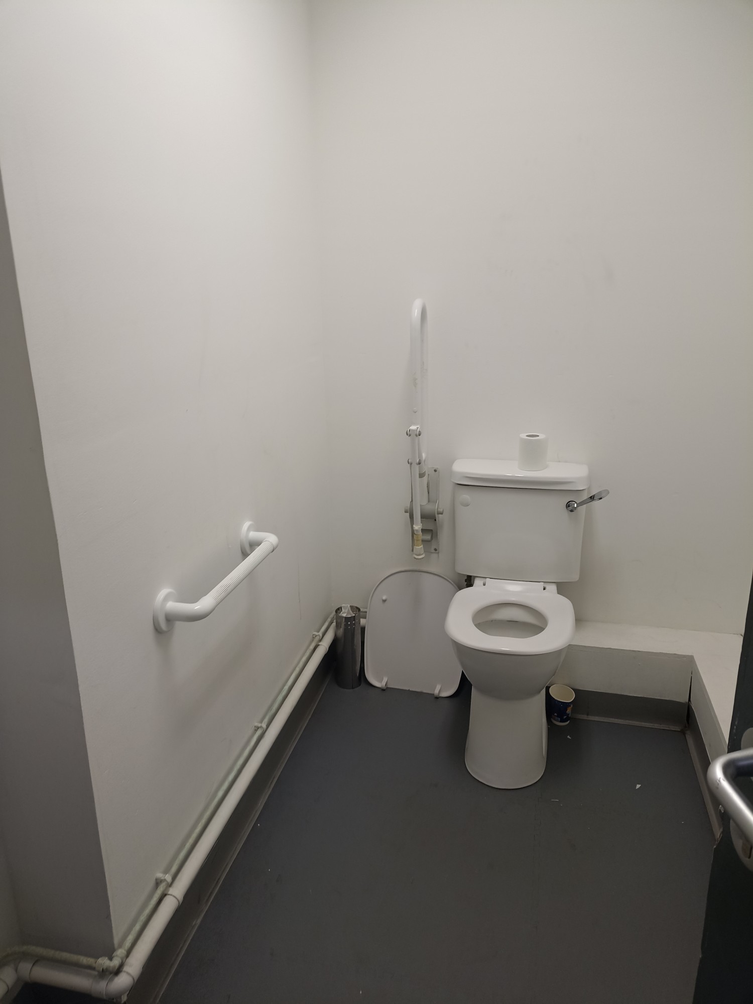 Railings in the ground floor bathroom, regular push door.