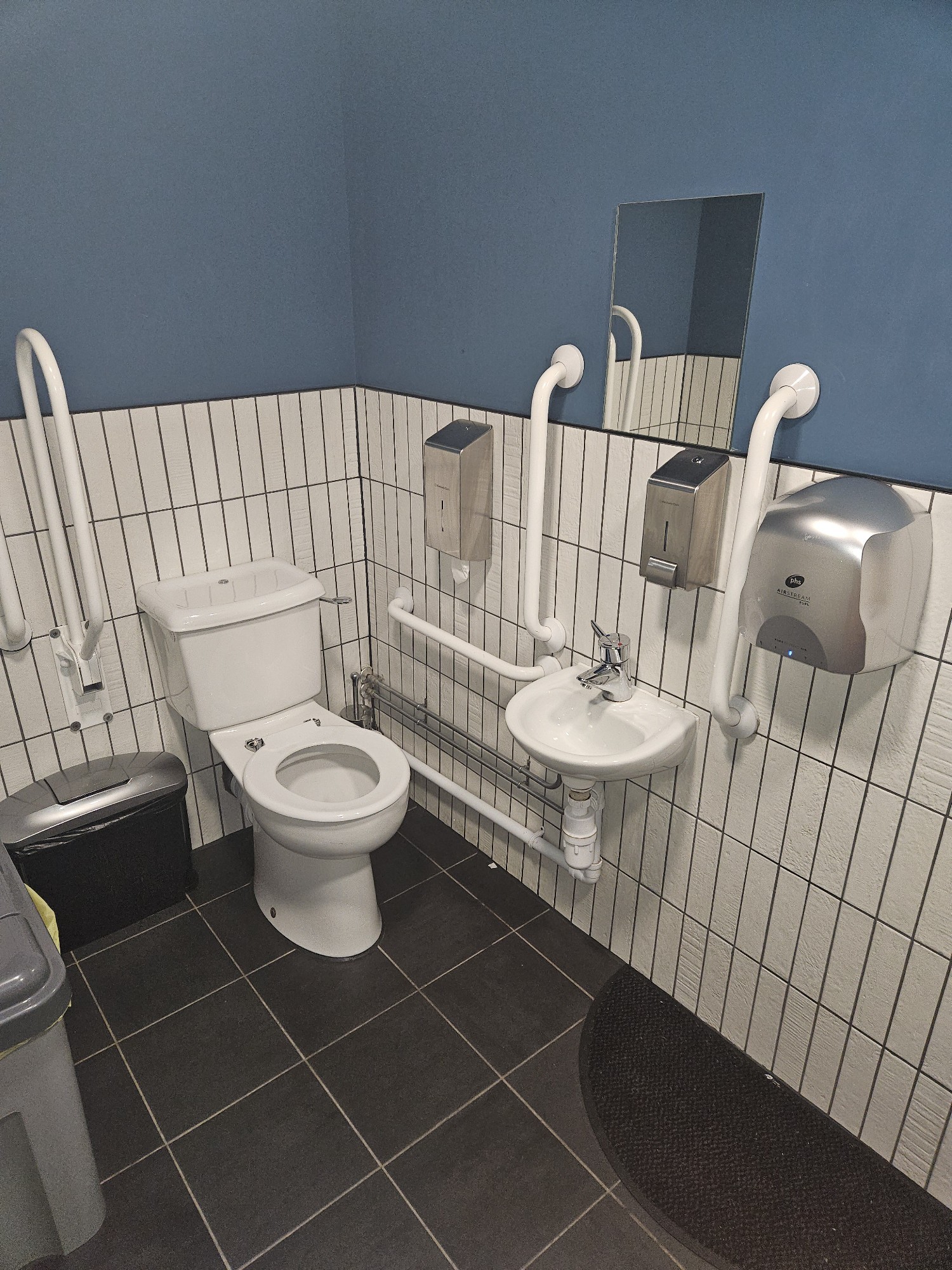 The toilet, sink,  dryer, soap dispenser, grab rails and the bin