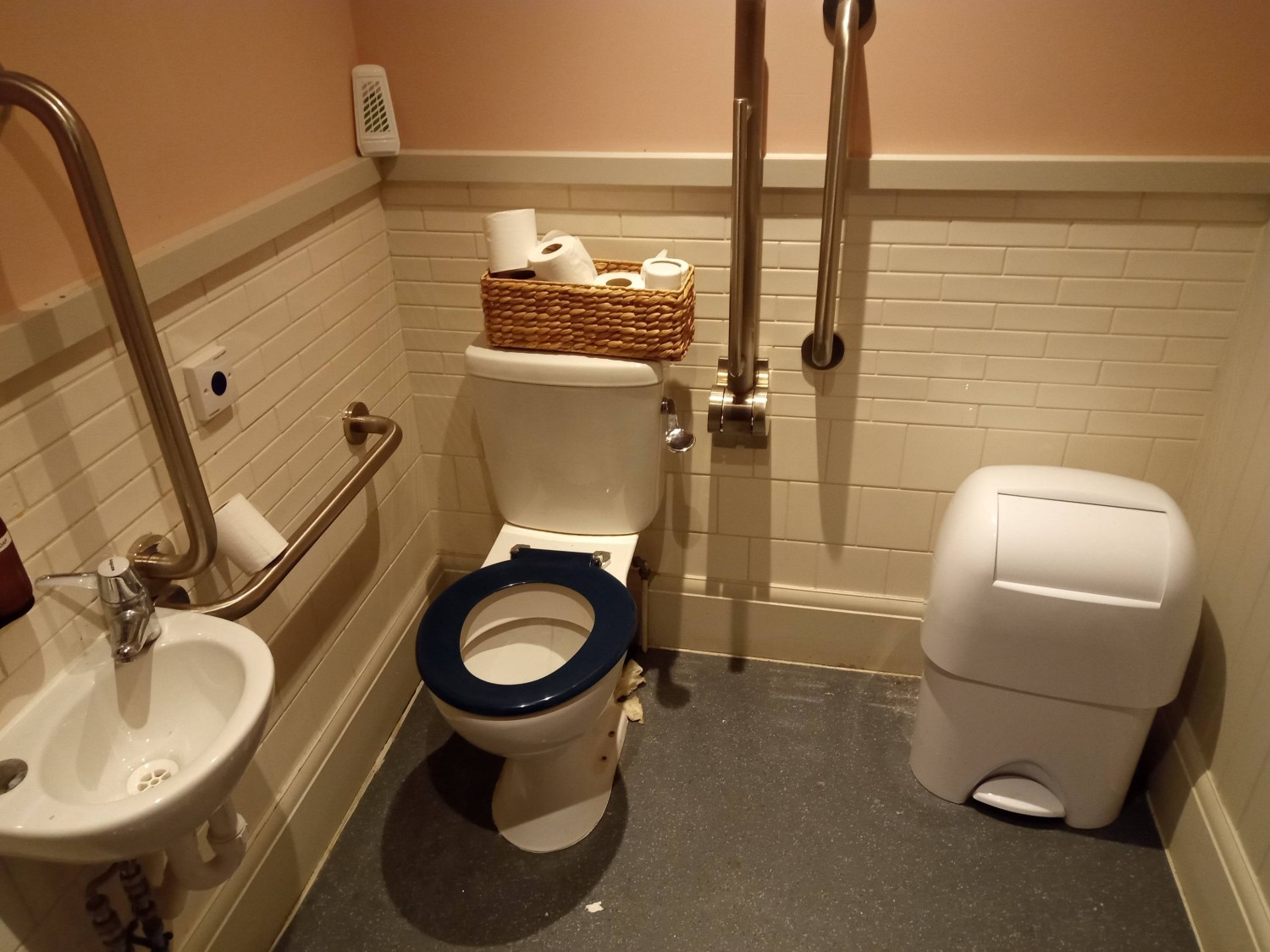 Disabled toilet. Grab rail to right of toilet as you're sat on it, drop down grab rail on left. Pedal bin blocking transfer space. No red cord.