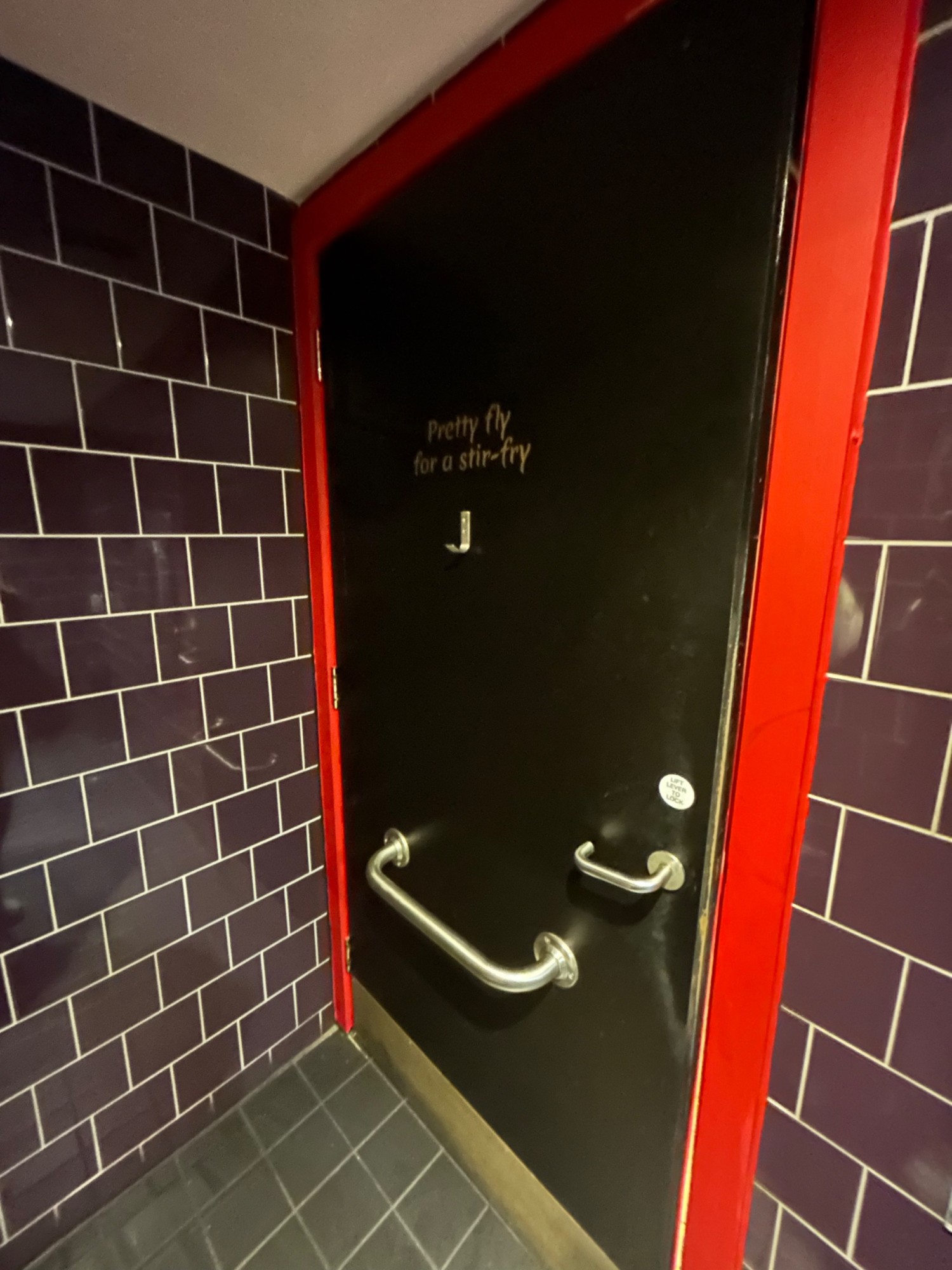 Back of toilet door. Seated height hanging hook towards centre of door. Grab rail along lower centre. Handle acts as turning lock on right.