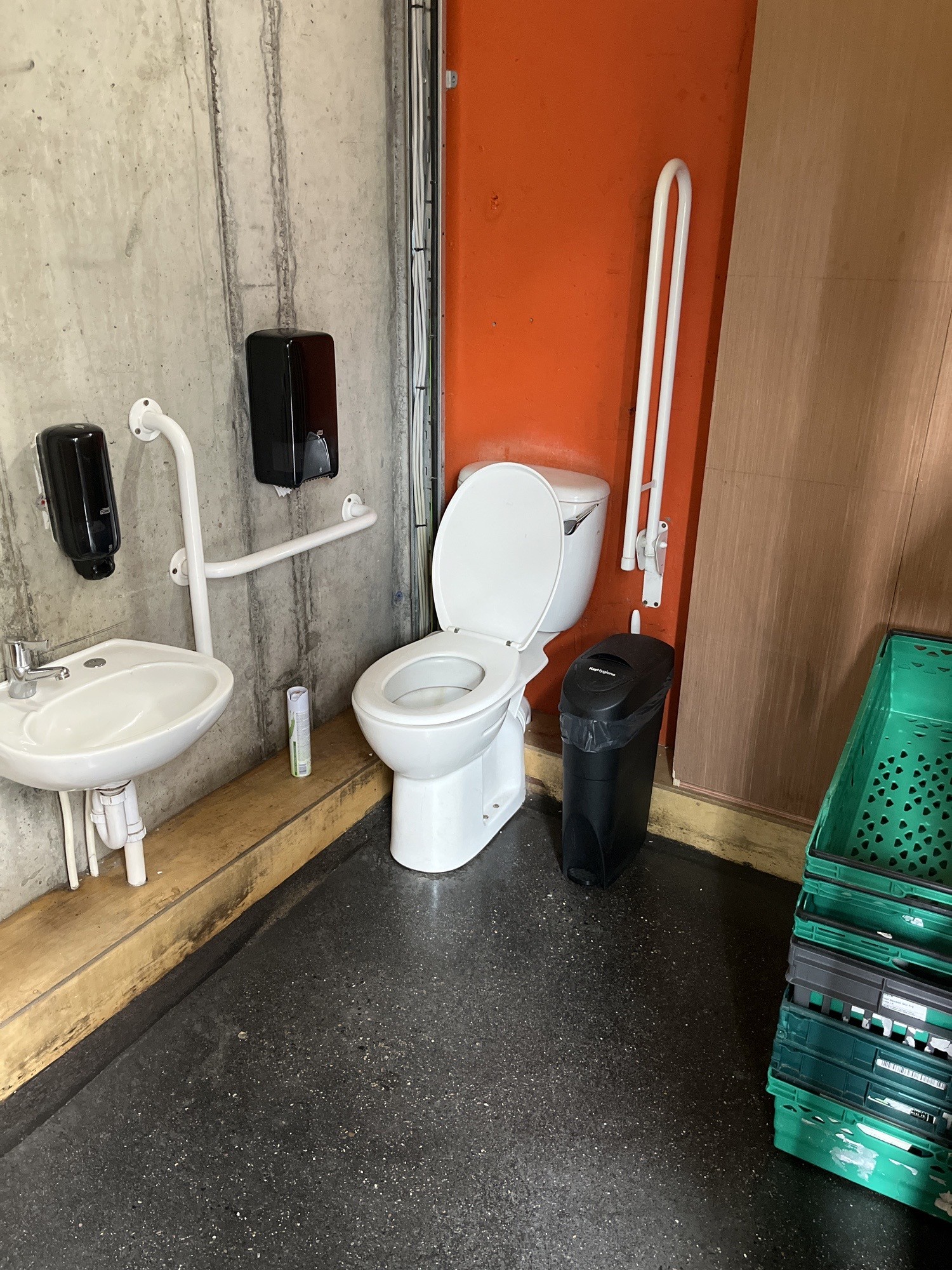 Bathroom with grab rails, no emergency string visible. Low sink