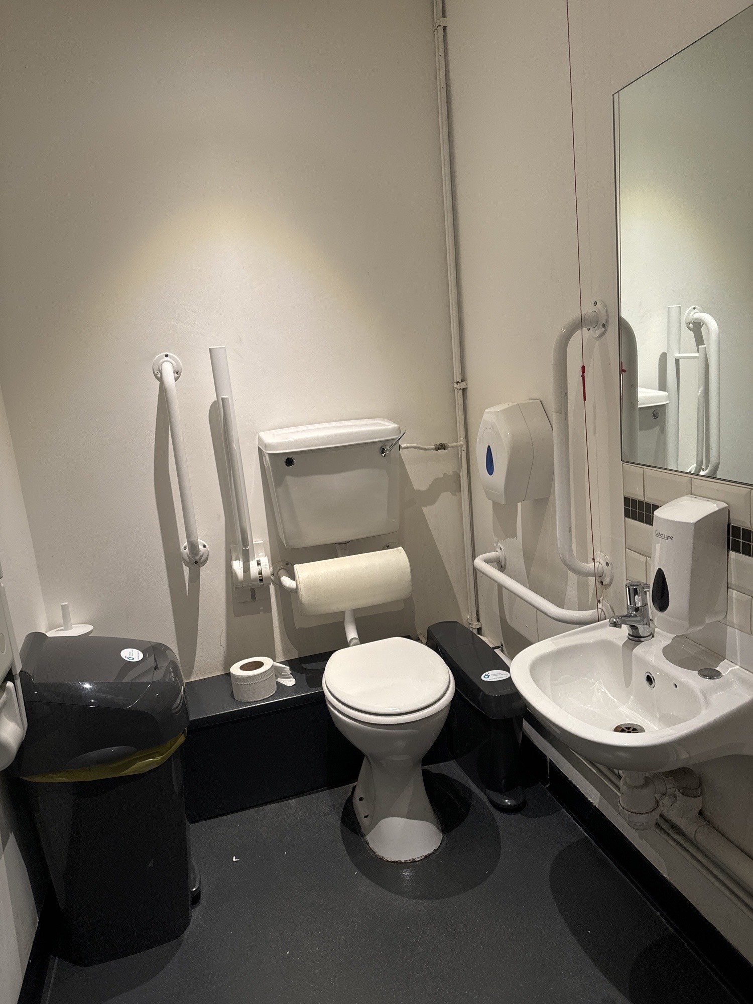 Picture of disabled toilet