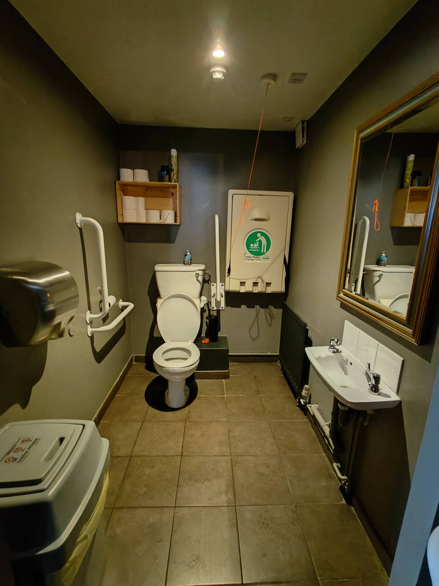 From door looking straight. Bin on left. Toilet along back left. Pull cord to its right. Baby changing table on back right. Sink on right.